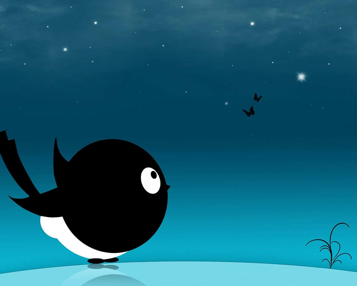 kawaii bird, black bird, white belly, SD Desktop Wallpaper