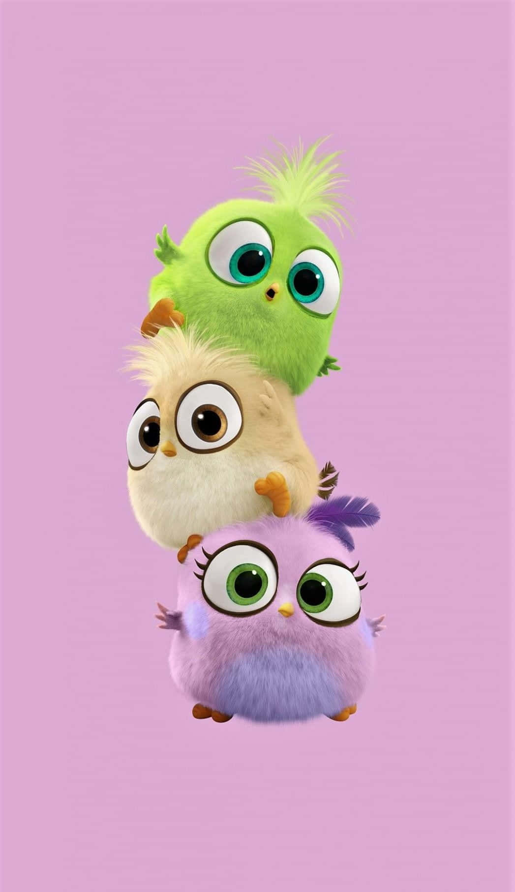 kawaii bird, fluffy cartoon birds, soft pink background, HD Phone Wallpaper