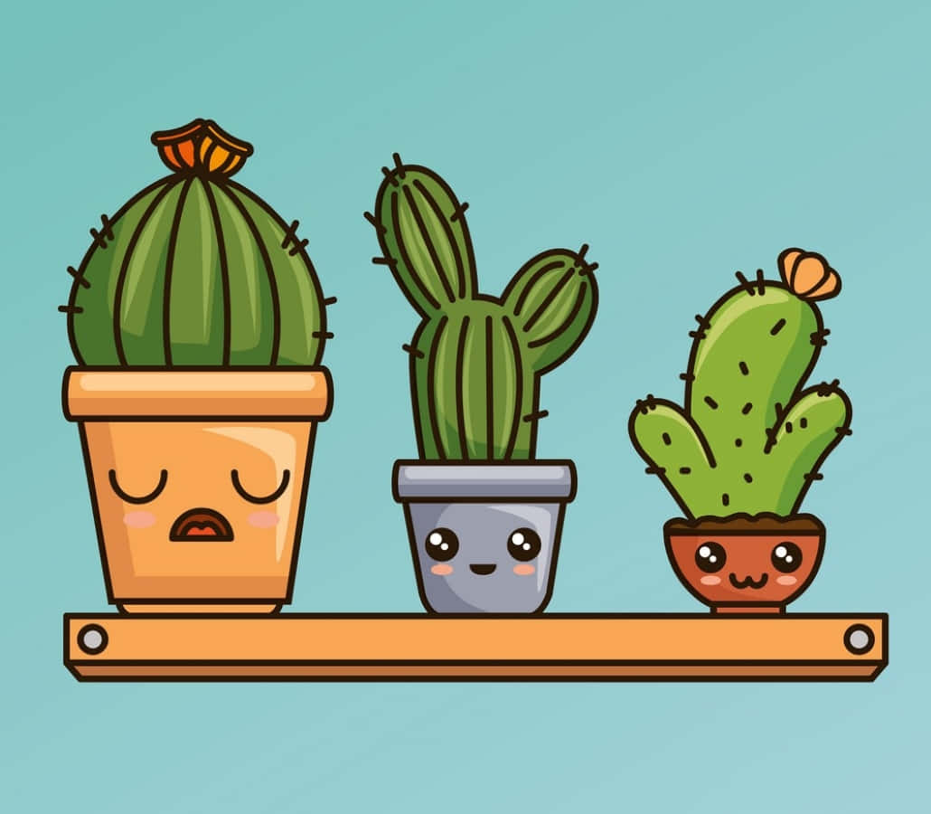 kawaii cactus, three kawaii potted cacti with faces, wooden shelf, SD Desktop Wallpaper