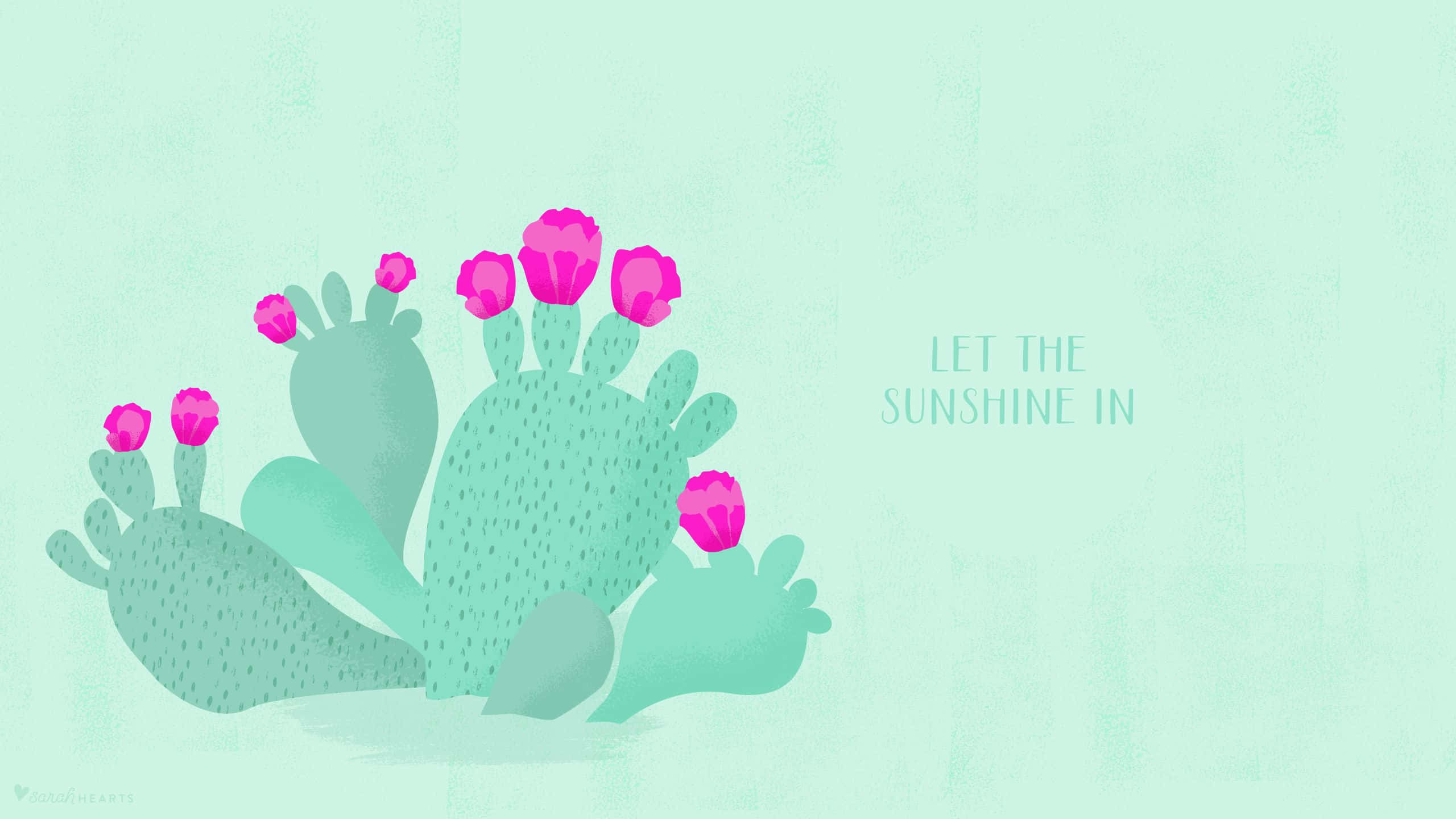 kawaii cactus, teal cactus, vibrant pink flowers, 2K Desktop Wallpaper