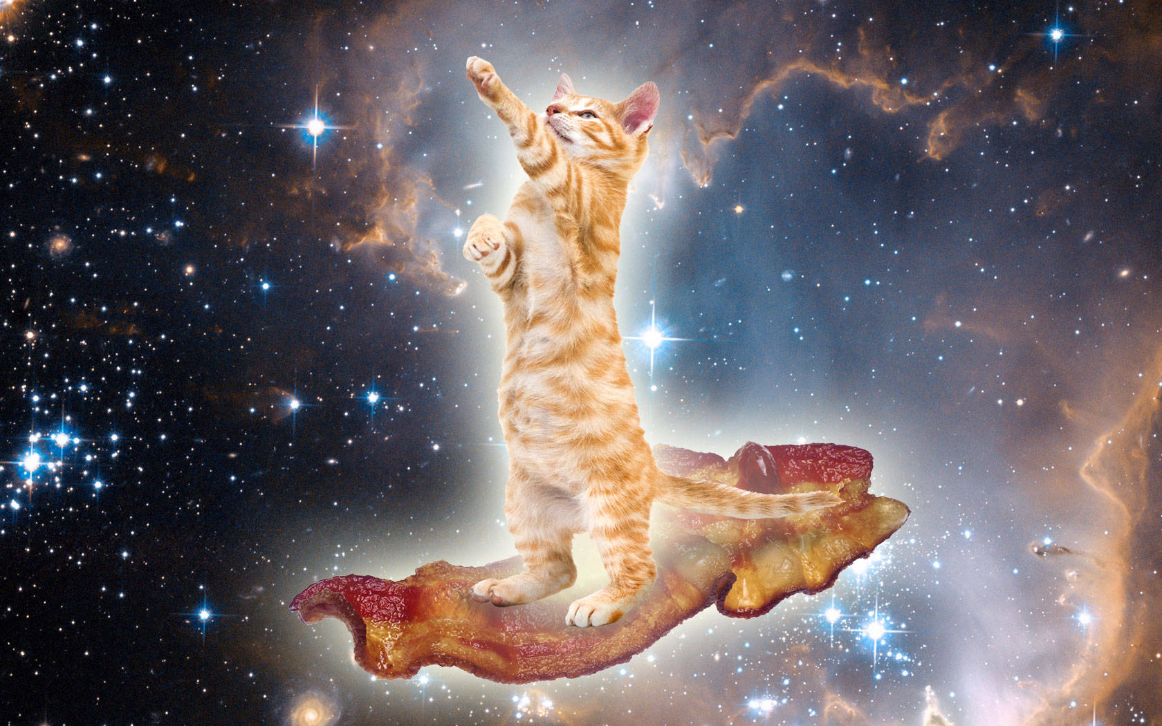 kawaii cat, orange tabby kitten, floating strip of bacon, HD Desktop Wallpaper