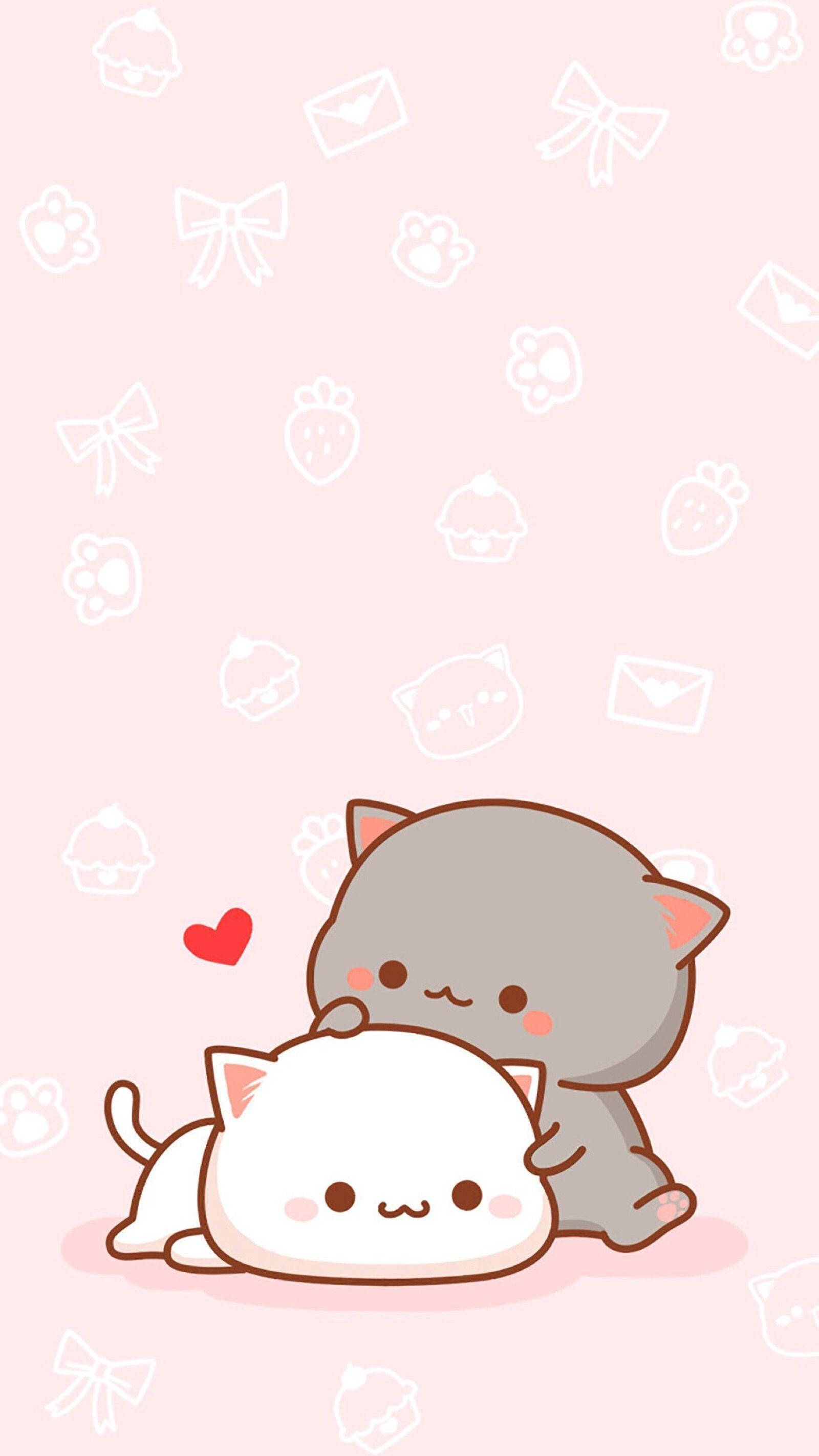 kawaii cute animals, gray kawaii cat, white cat, 2K Phone Wallpaper