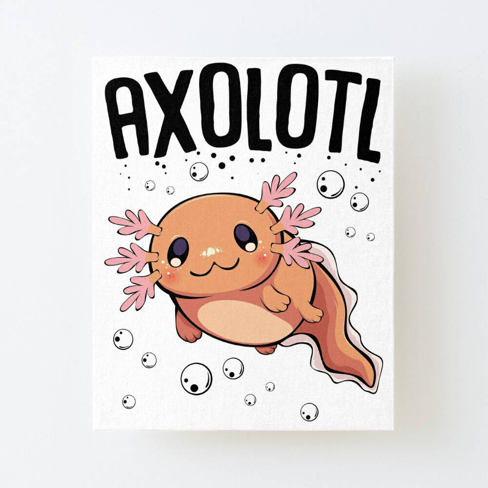 axolotl, pink gills, smiling face, SD Desktop Wallpaper