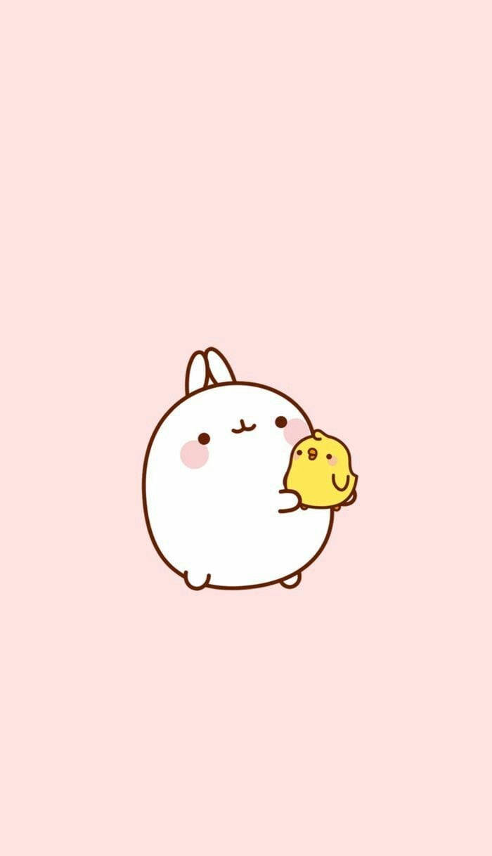 kawaii cute animals, white bunny, pink cheeks, SD Phone Wallpaper