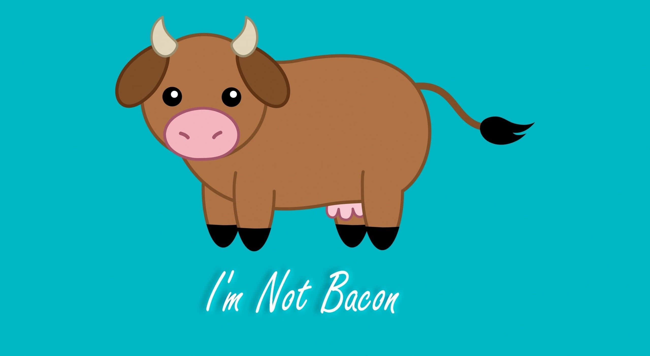 kawaii cute cow, pink snout, teal background, 2K Desktop Wallpaper