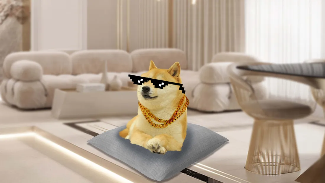 Kawaii Dog