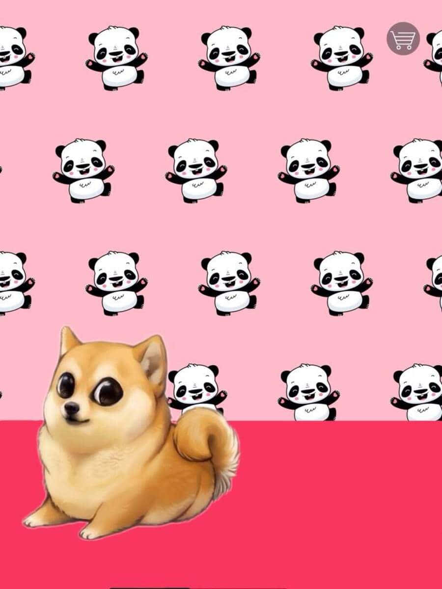 kawaii dog, chihuahua, pink background, SD Phone Wallpaper