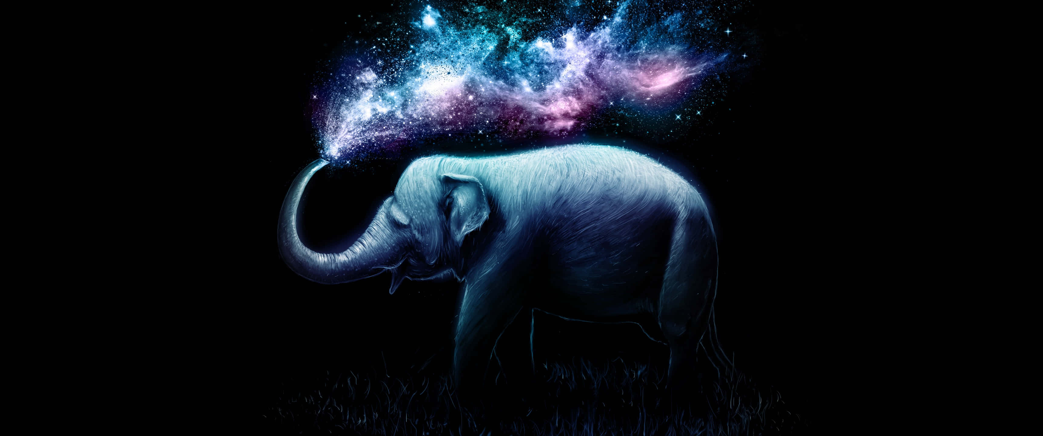 8k ultra hd amoled, blue elephant, starry sky, 2K Desktop Wallpaper