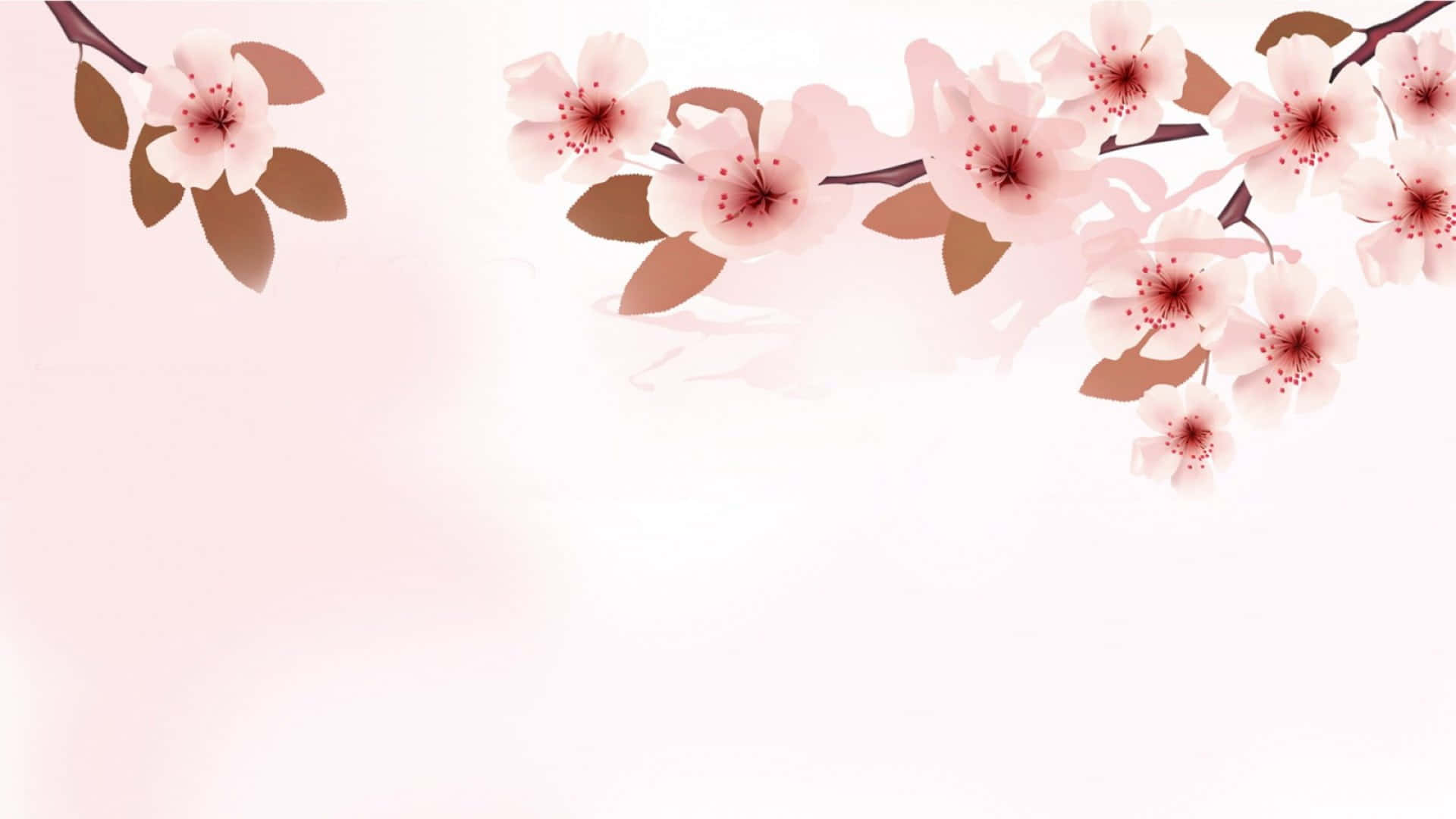 kawaii flower, pink cherry blossoms, brown leaves, Full HD Desktop Wallpaper
