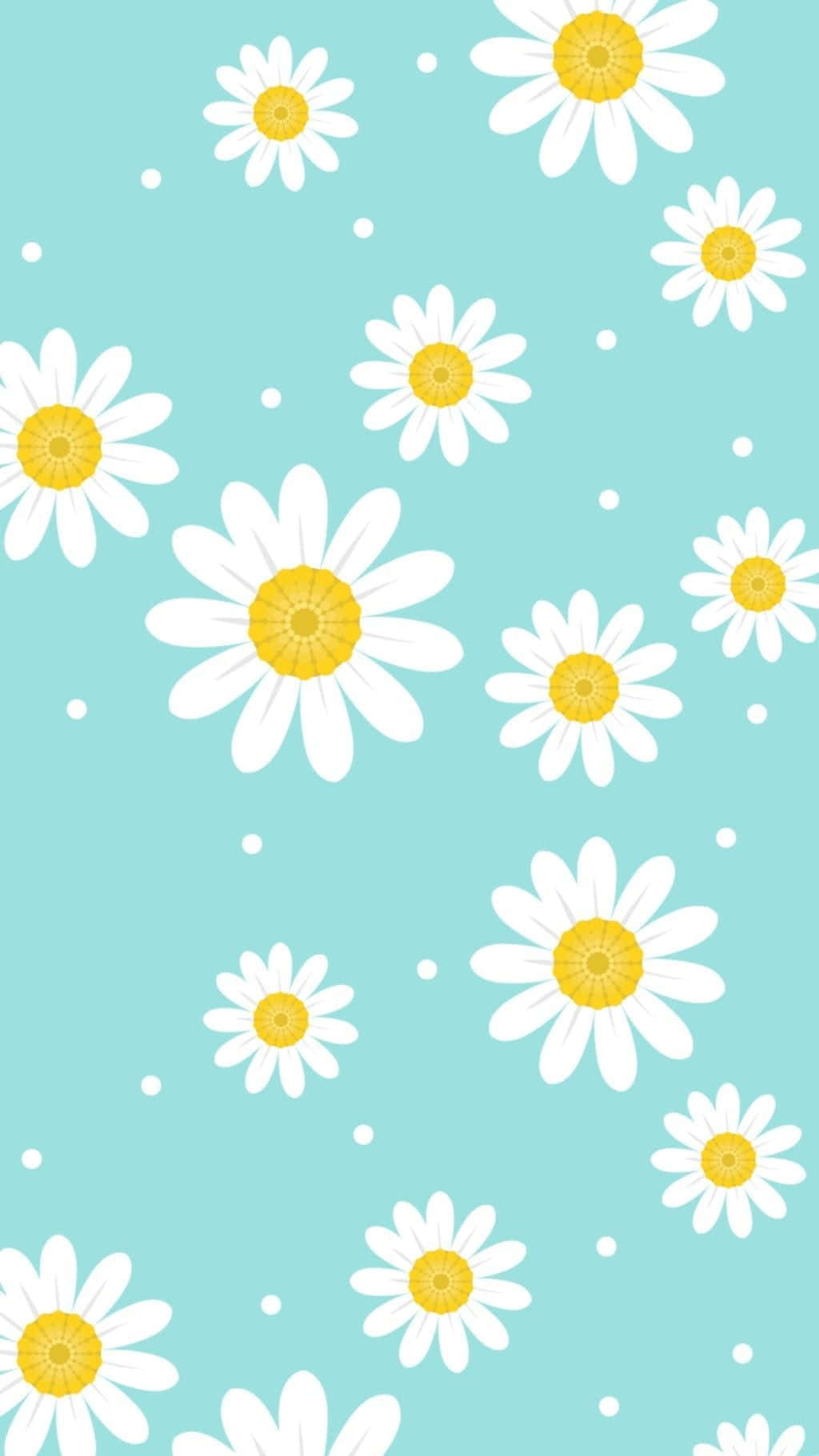 kawaii flower, white daisies, yellow centers, HD Phone Wallpaper