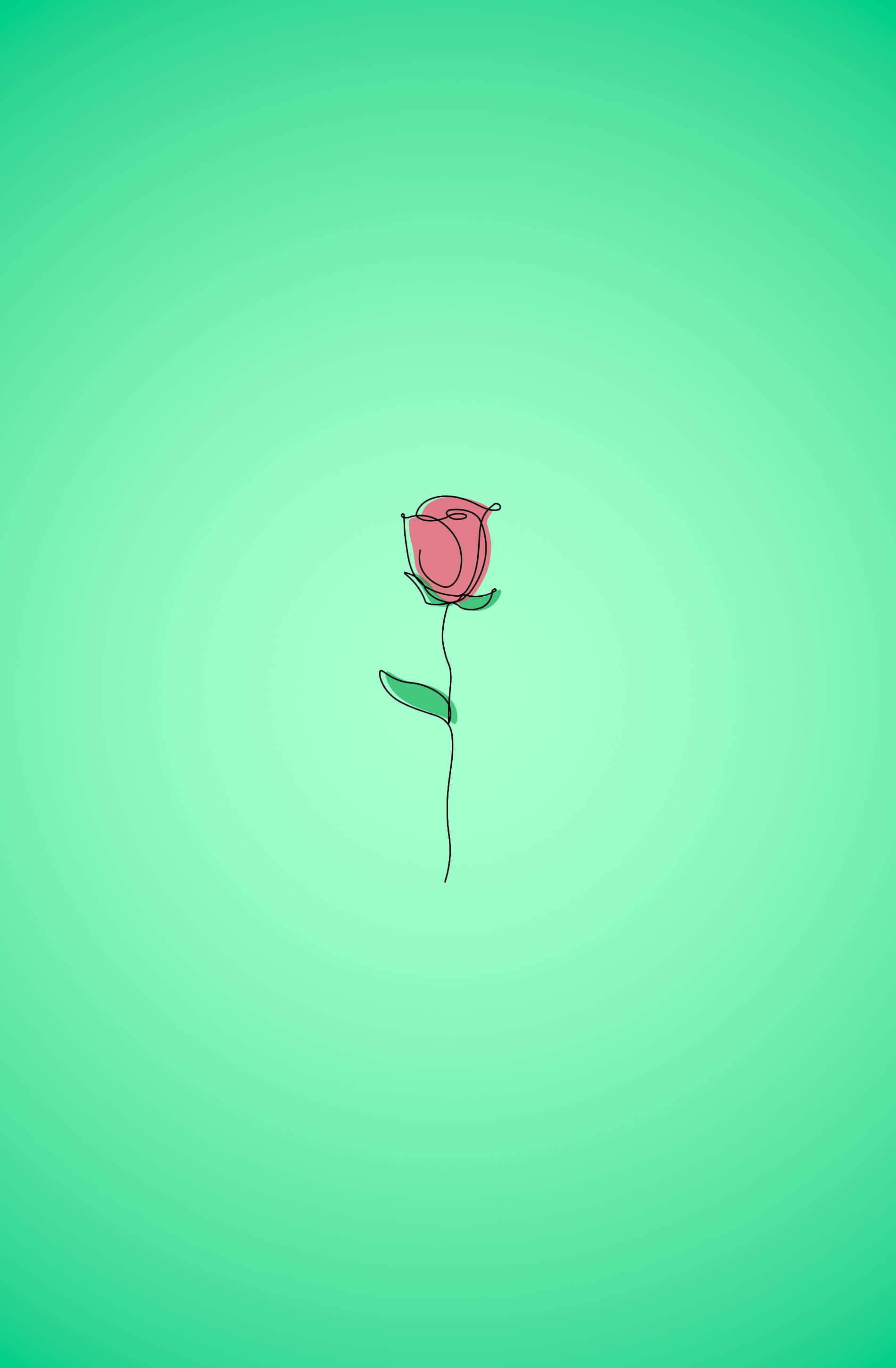 kawaii flower, pink rose, green leaves, 2K Phone Wallpaper