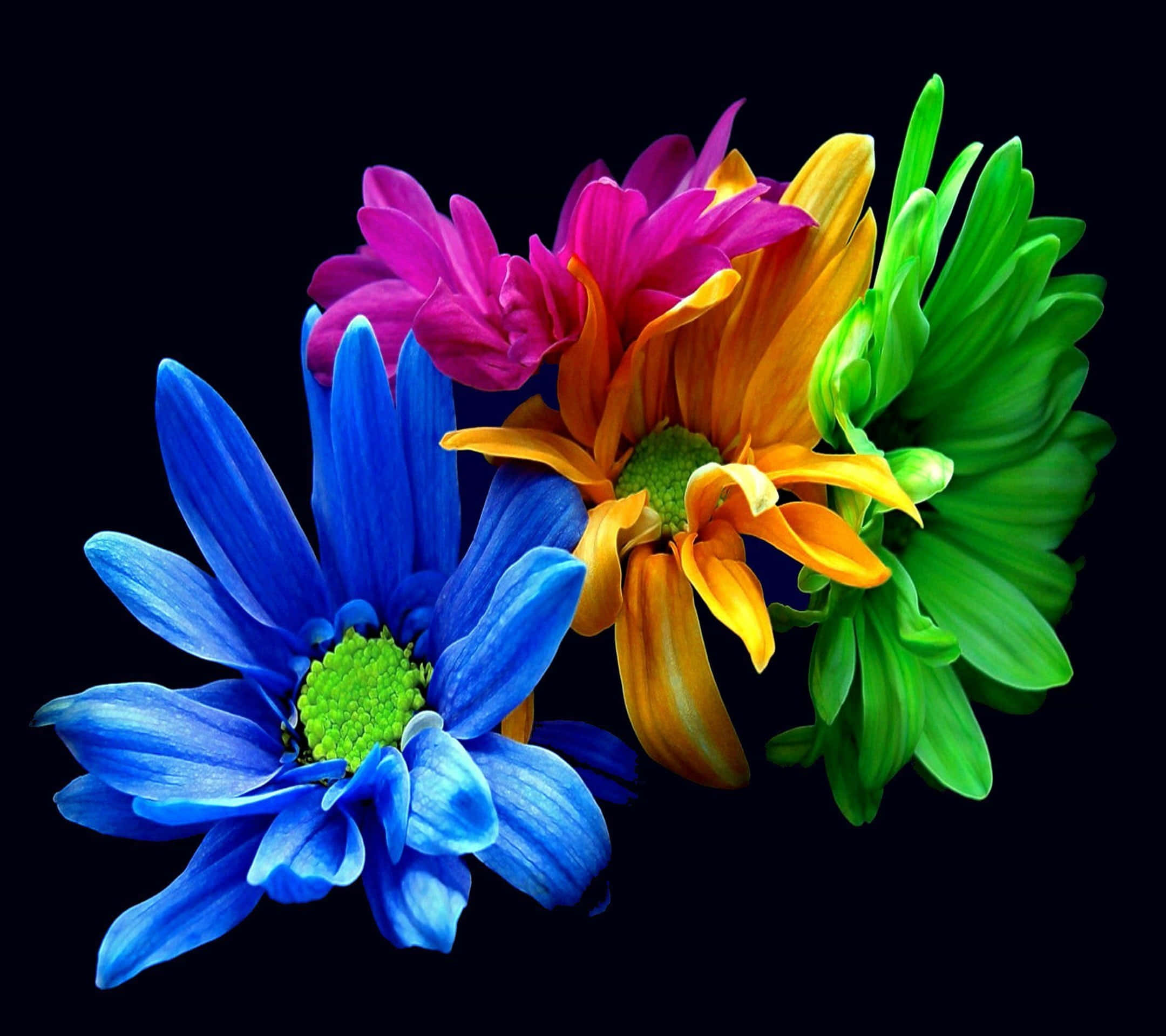 Kawaii Flower, blue, pink, Full HD Desktop Wallpaper