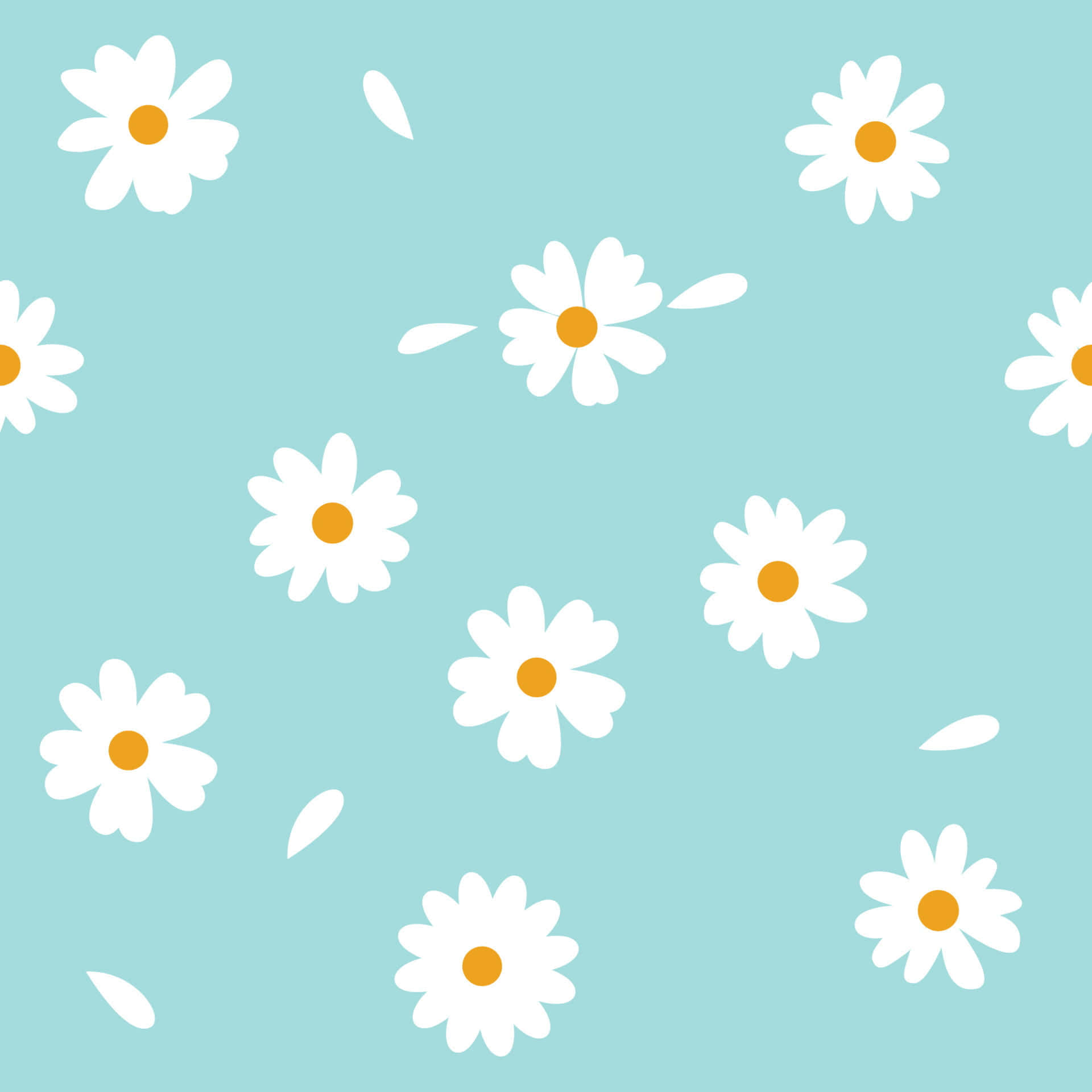 Kawaii Flower, white daisies, orange centers, Full HD Desktop Wallpaper