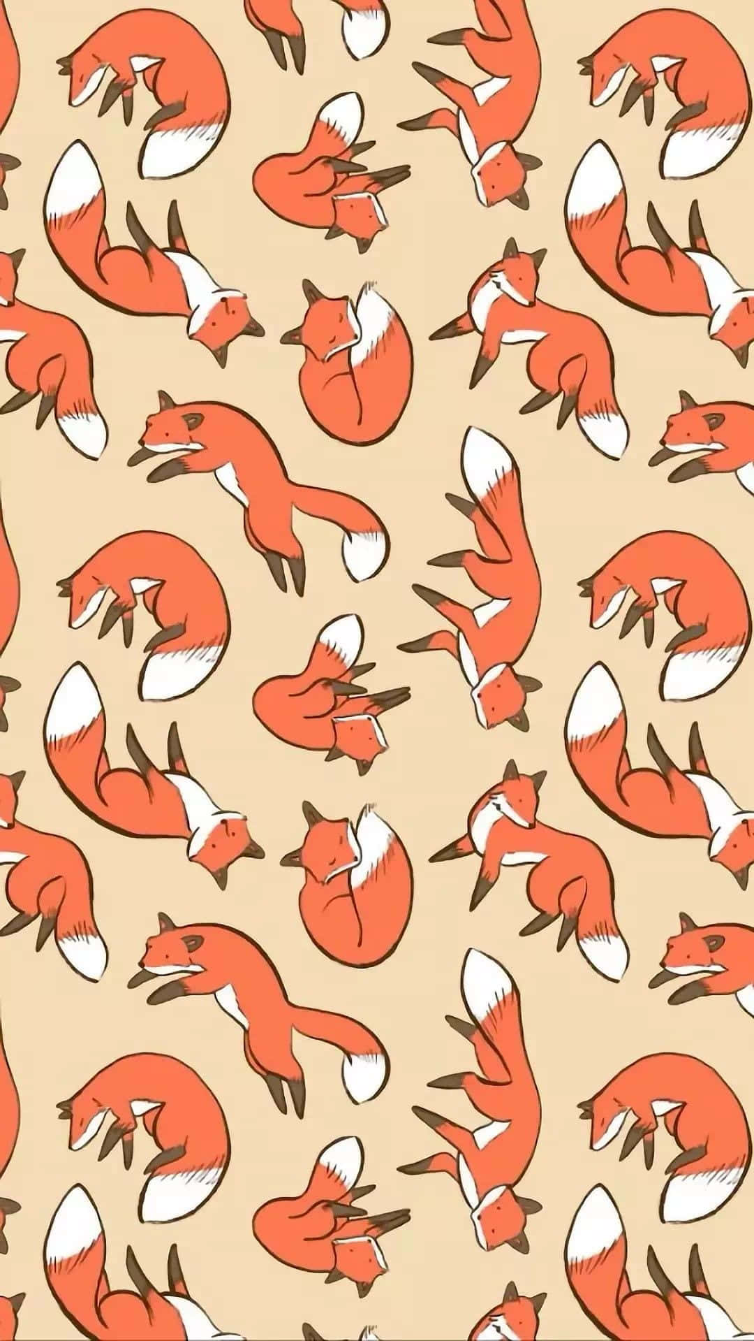 kawaii fox, orange foxes, white-tipped tails, HD Phone Wallpaper
