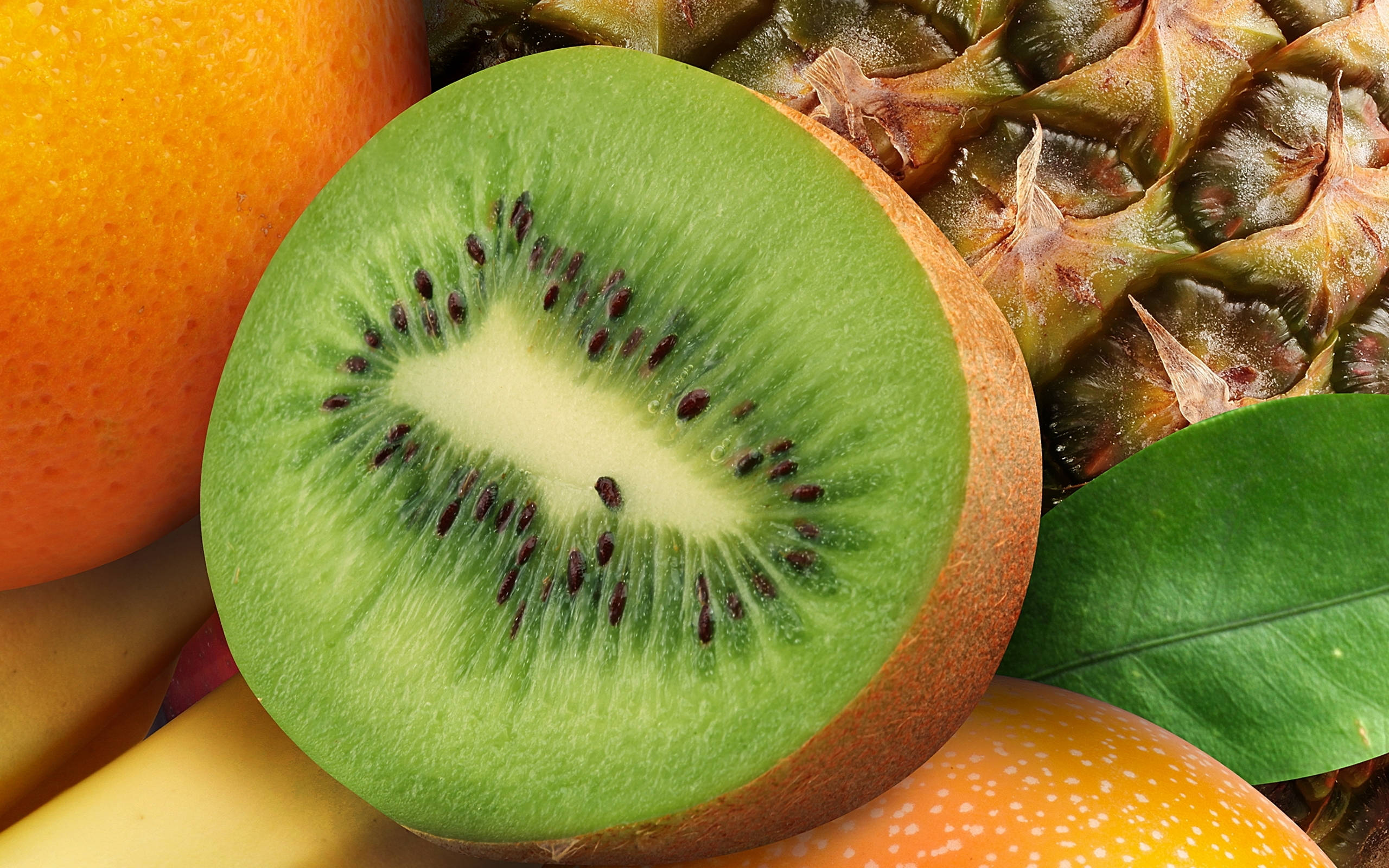 half kiwi fruits, kiwi, green flesh, 2K Desktop Wallpaper