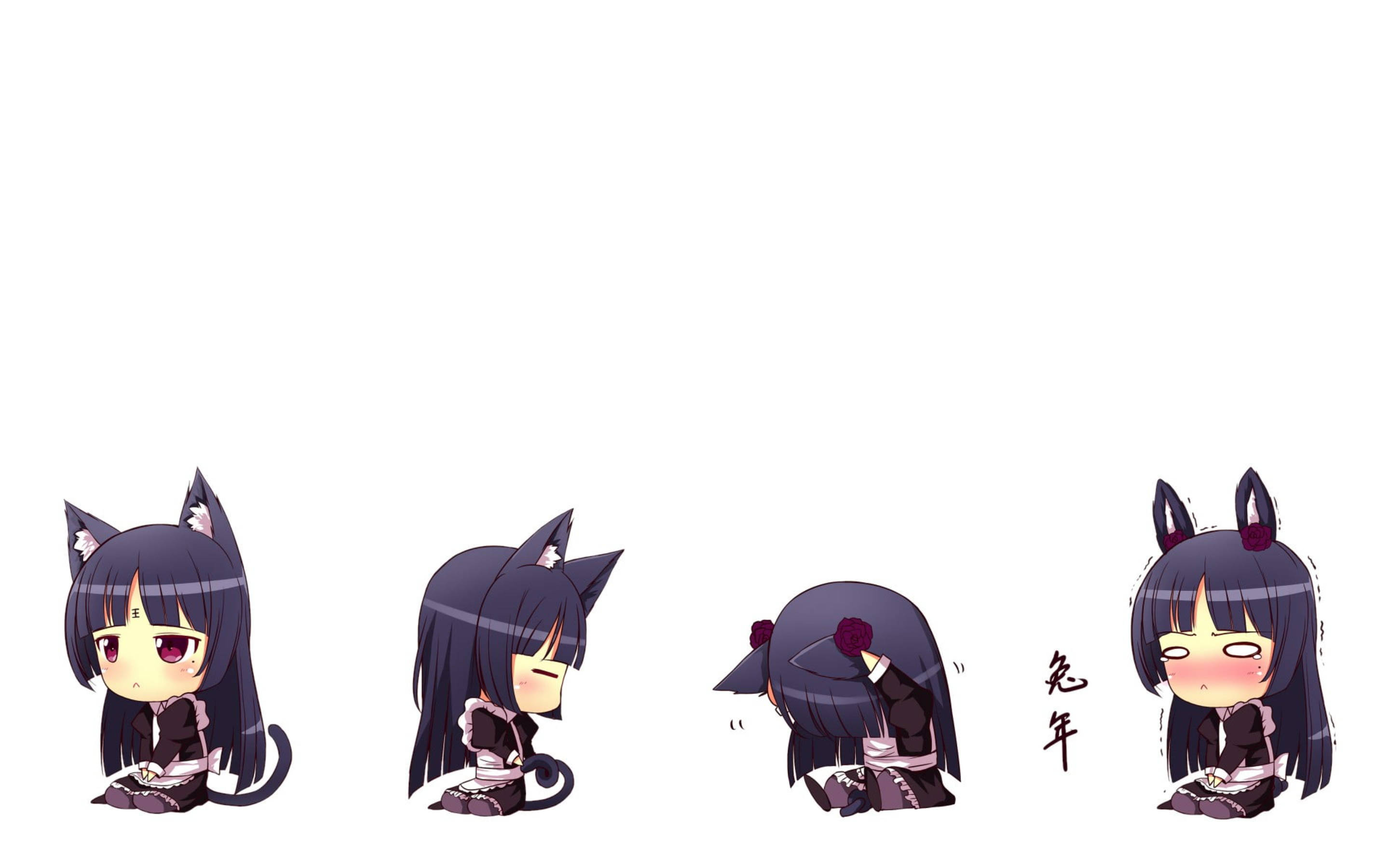 cat girl, chibi anime girl, dark hair, 2K Desktop Wallpaper