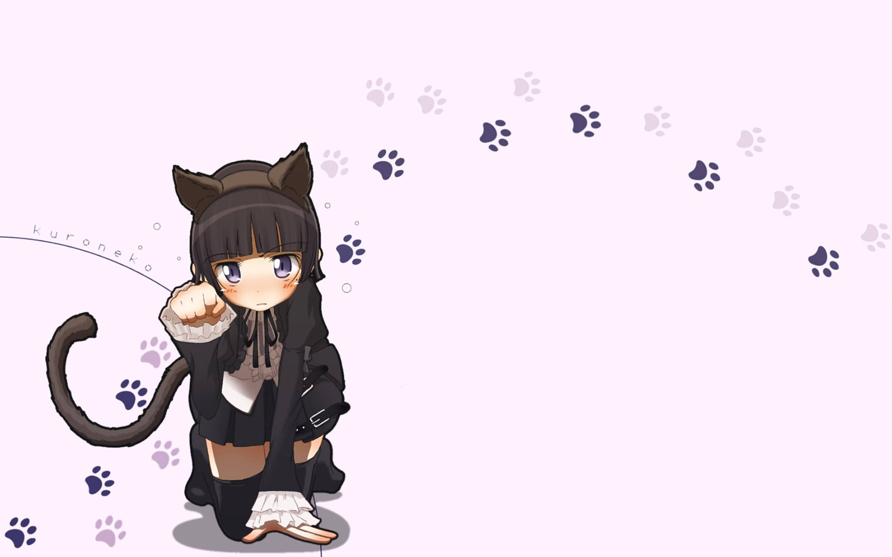 kawaii cat girl, chibi anime girl, cat ears, 2K Desktop Wallpaper