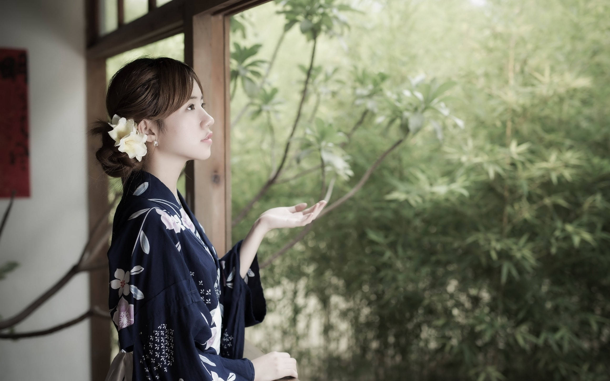 navy floral kimono, wooden window, lush green bamboo, 2K Desktop Wallpaper