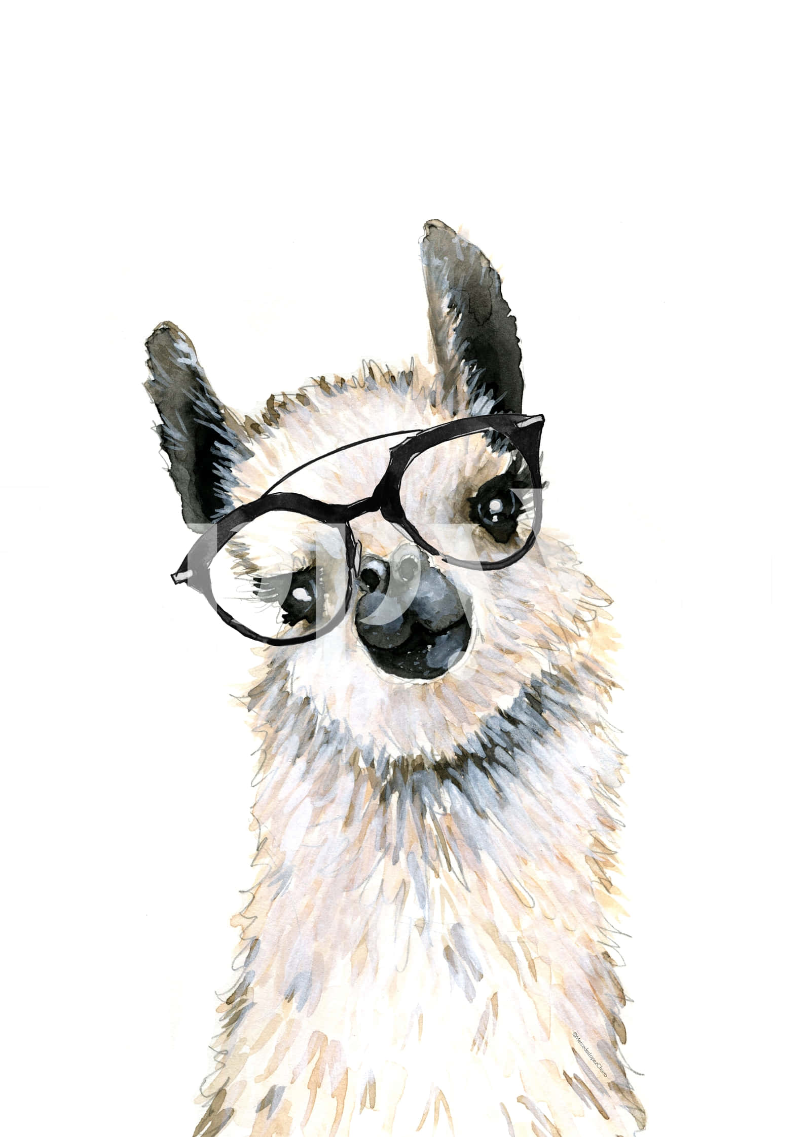 Kawaii Llama, flower crown, black-rimmed glasses, Full HD Phone Wallpaper