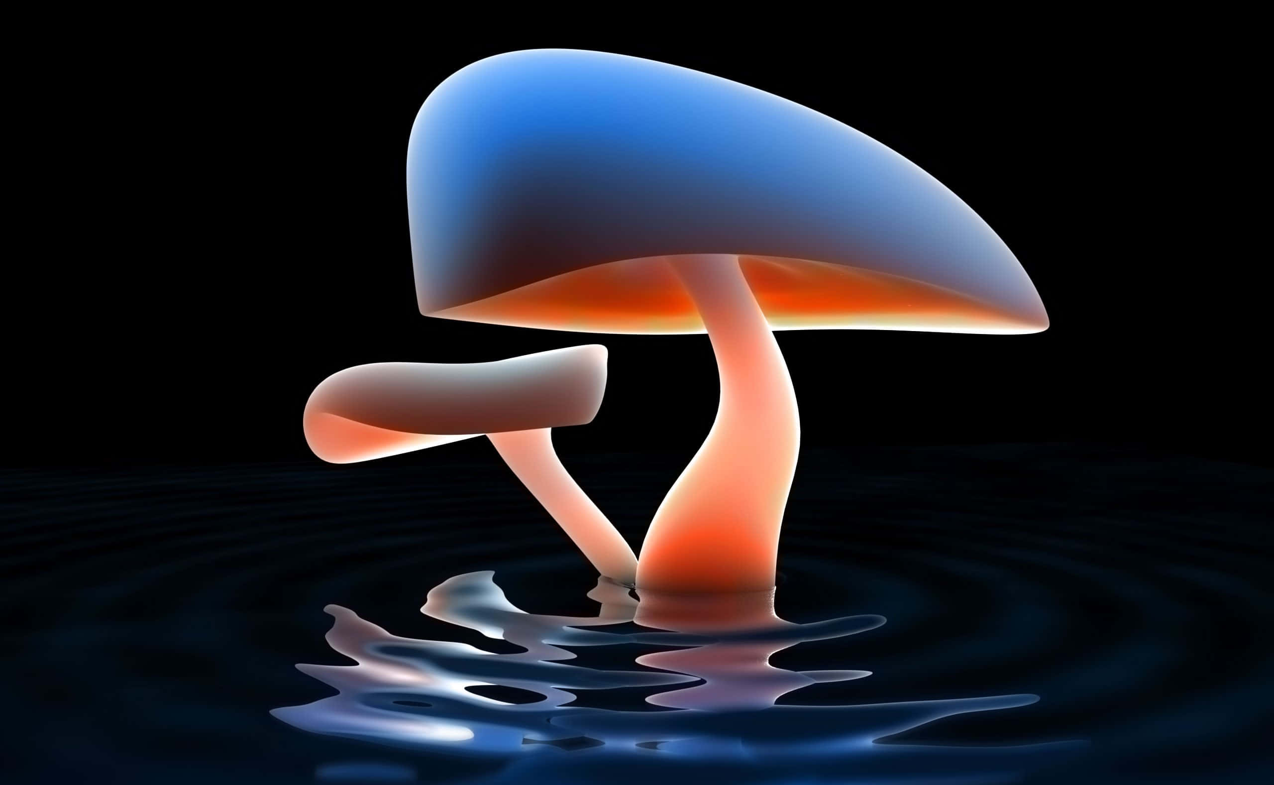 kawaii mushroom, glowing blue, orange mushroom, 2K Desktop Wallpaper