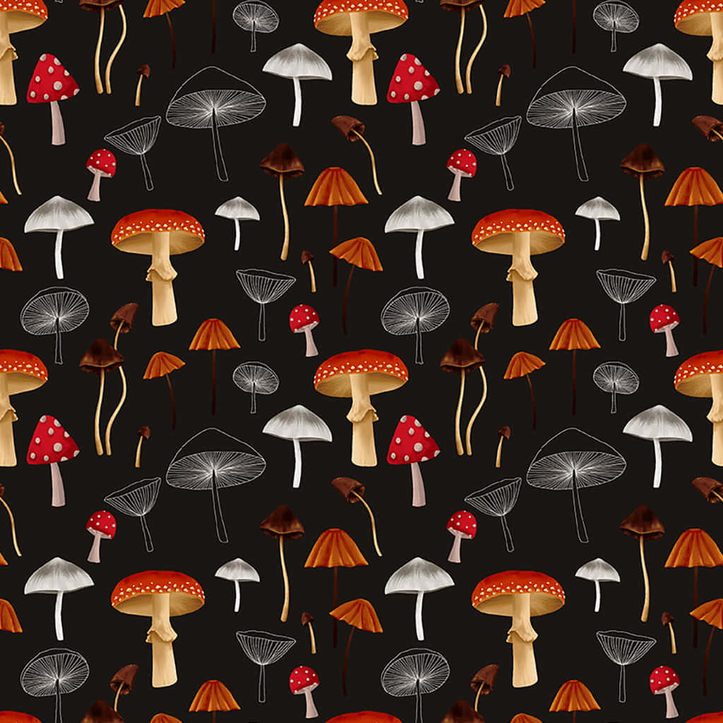 kawaii mushroom, red, white, SD Desktop Wallpaper