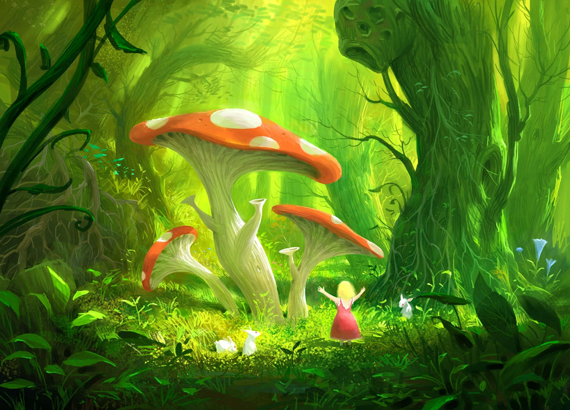 kawaii mushroom, red dress, giant red-and-white mushrooms, Full HD Desktop Wallpaper