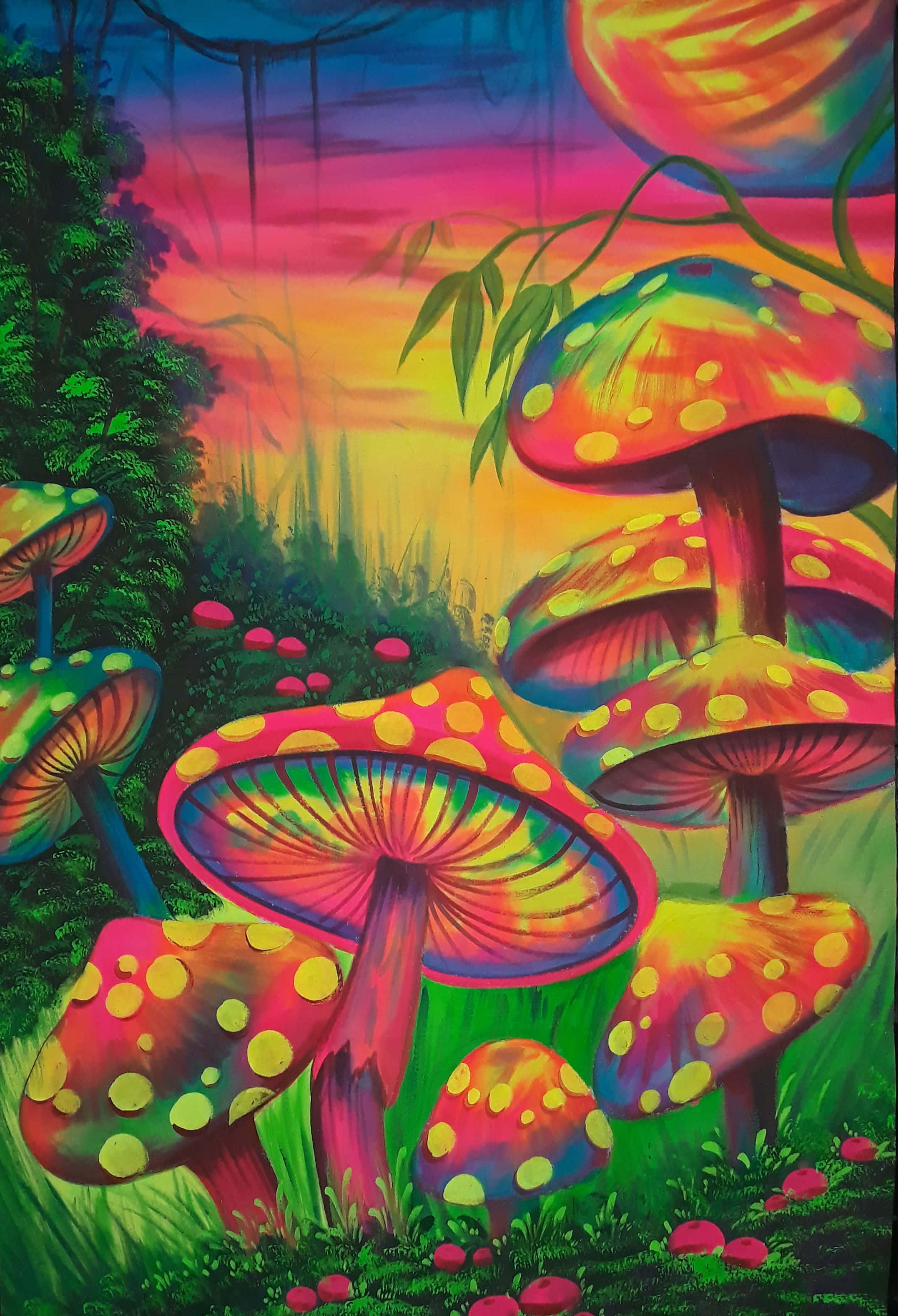 kawaii mushroom, psychedelic mushrooms, surreal sunset sky, 2K Phone Wallpaper