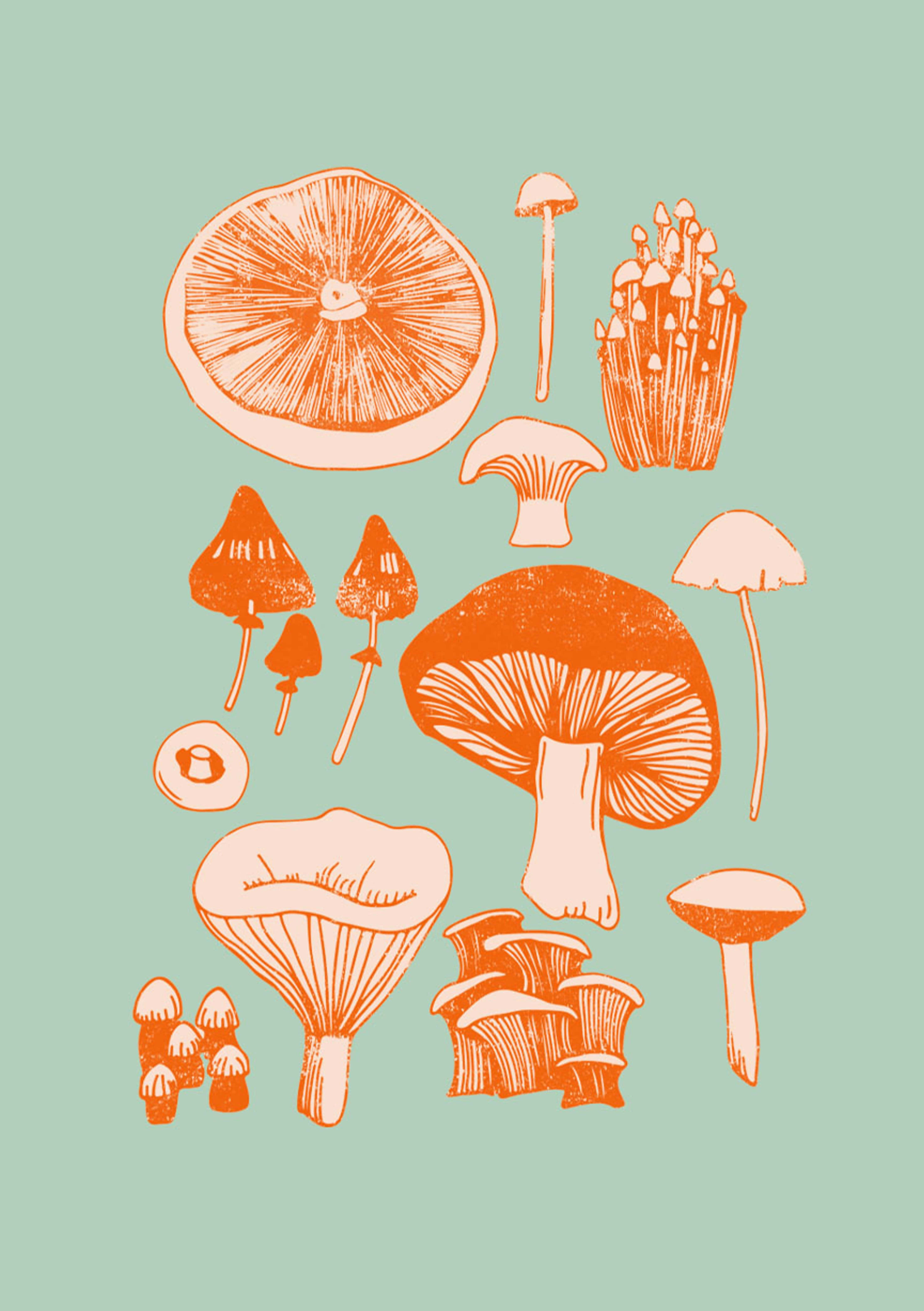 kawaii mushroom, orange mushrooms, fungi, 5K Phone Wallpaper