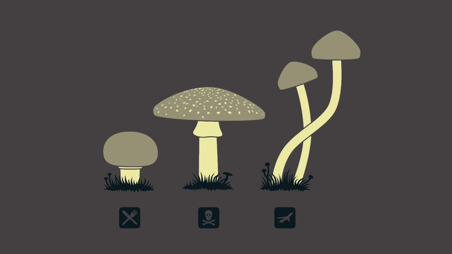 kawaii mushroom, warning icons, dark gray background, Full HD Desktop Wallpaper