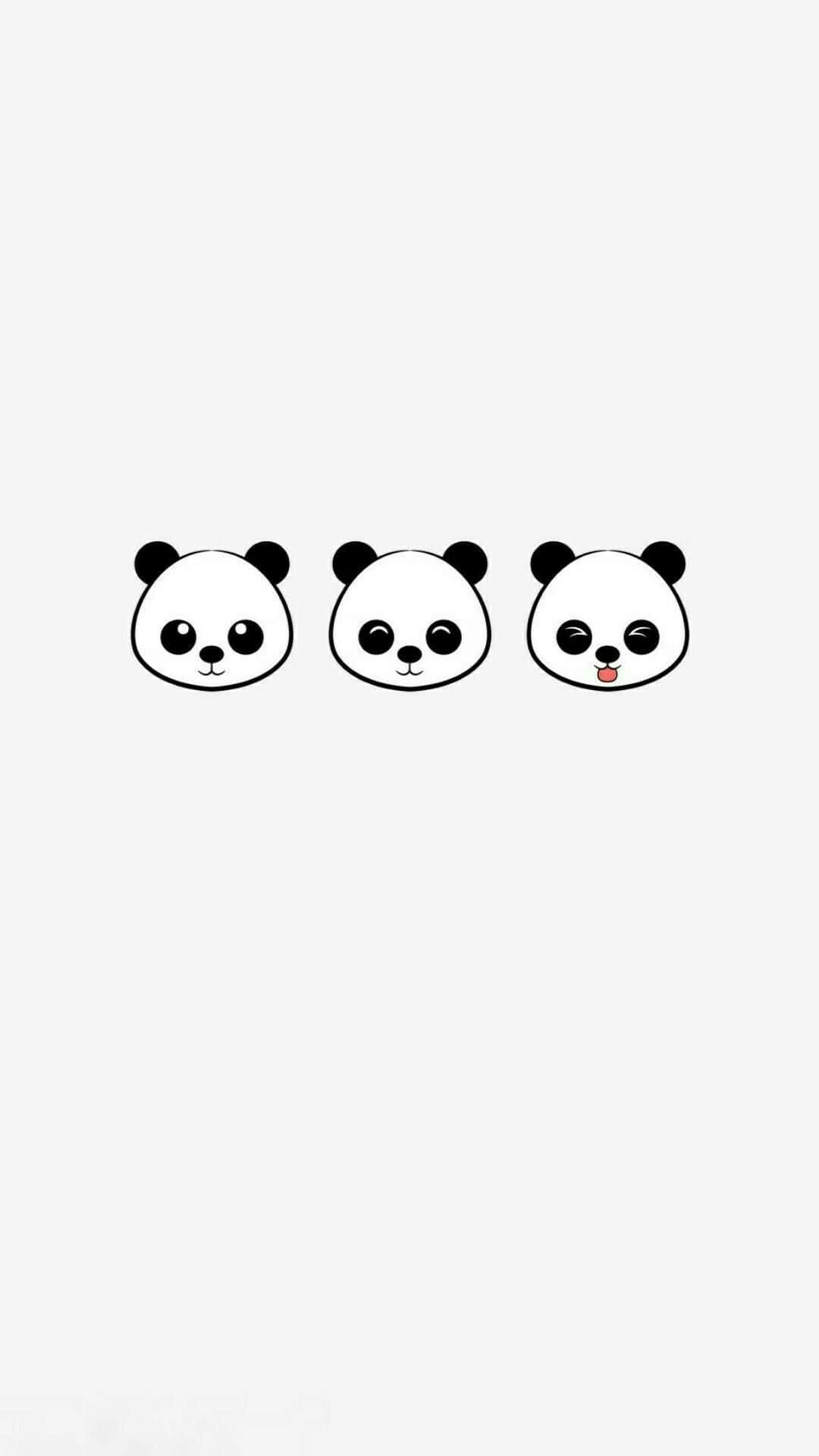 Kawaii Panda, three minimalist panda faces, different expressions, Full HD Phone Wallpaper