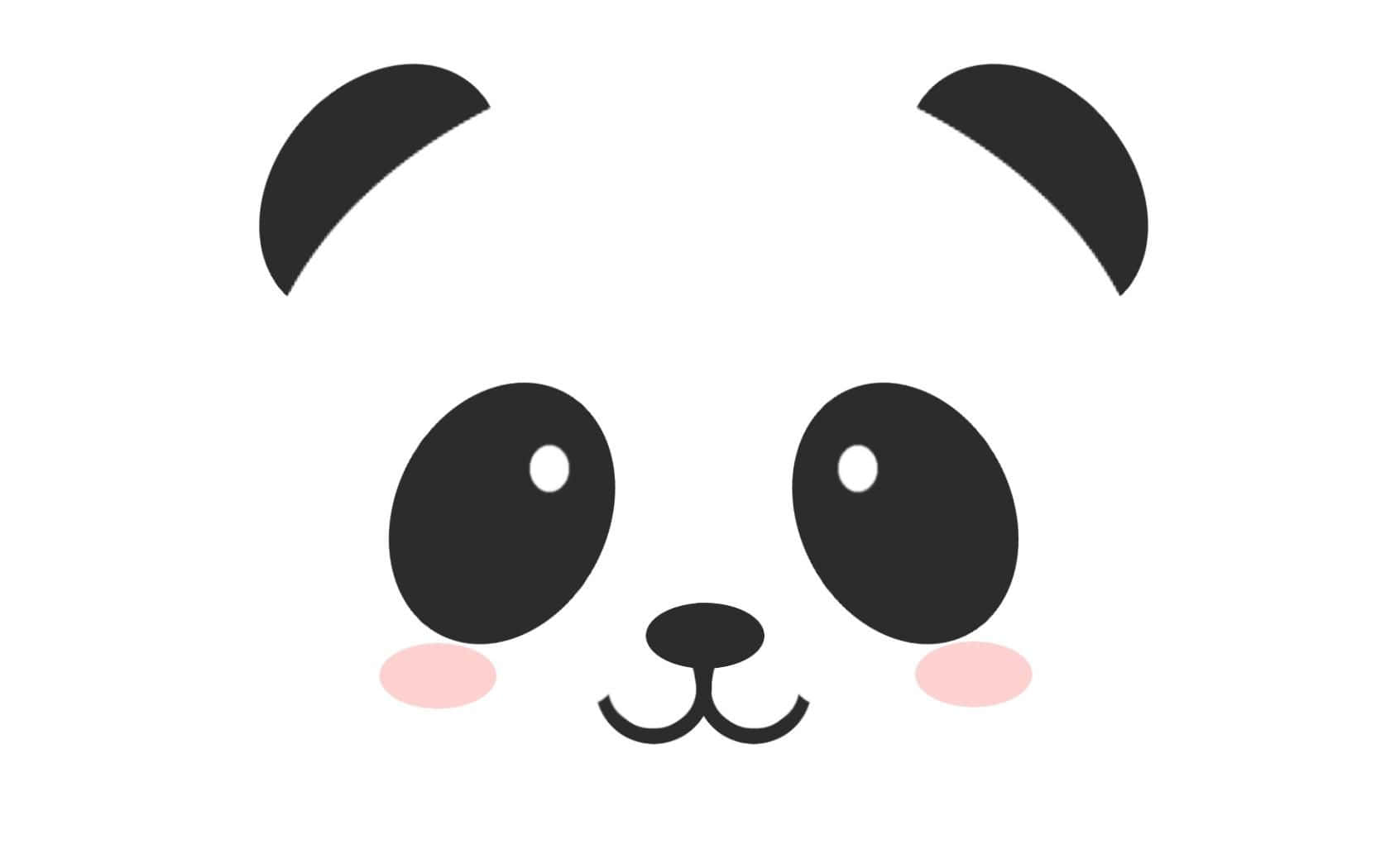 Kawaii Panda, panda face, big black eyes, HD Desktop Wallpaper