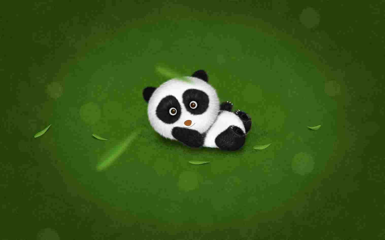 kawaii panda, panda cub, green background, HD Desktop Wallpaper