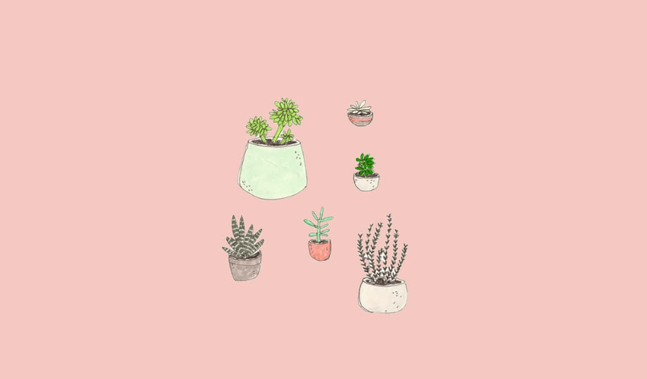kawaii pink aesthetic desktop, pastel pots, soft pink background, HD Desktop Wallpaper