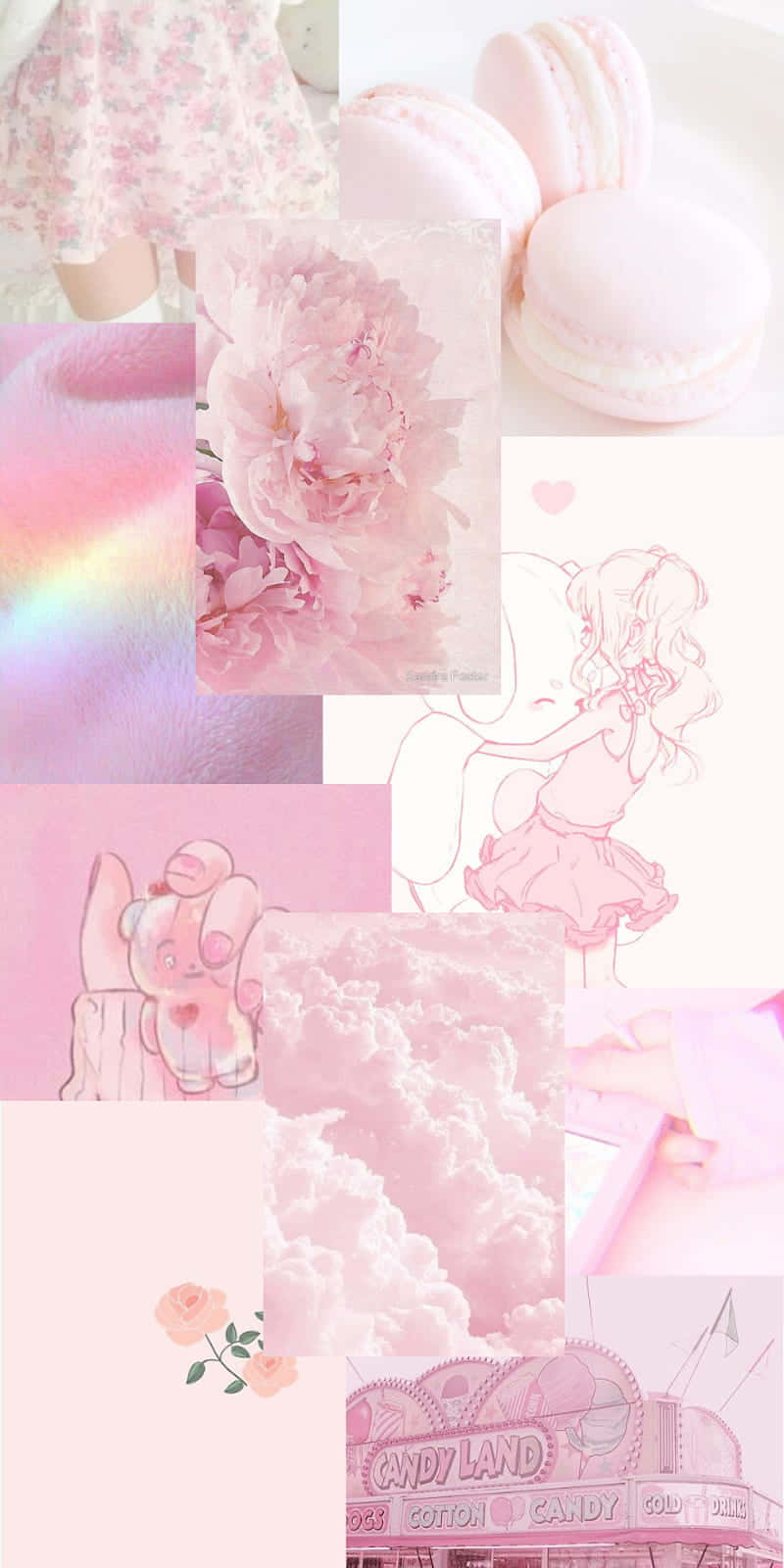 kawaii pink aesthetic, macarons, peonies, HD Phone Wallpaper
