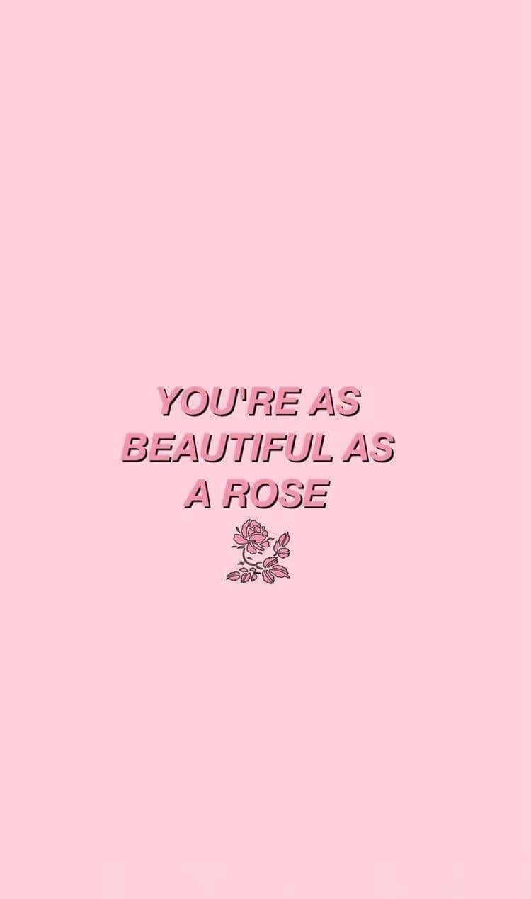 rose, soft pink background, pink text, SD Phone Wallpaper