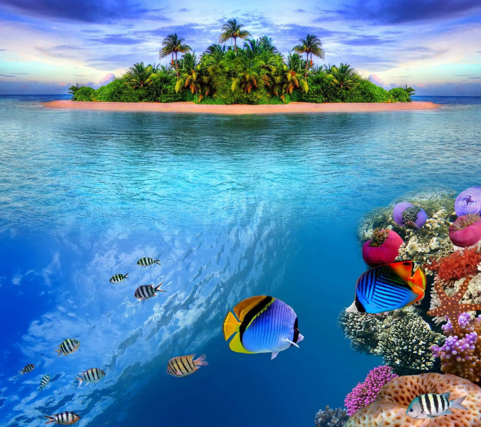 kawaii sea creatures, tropical island, colorful coral reef, HD Desktop Wallpaper