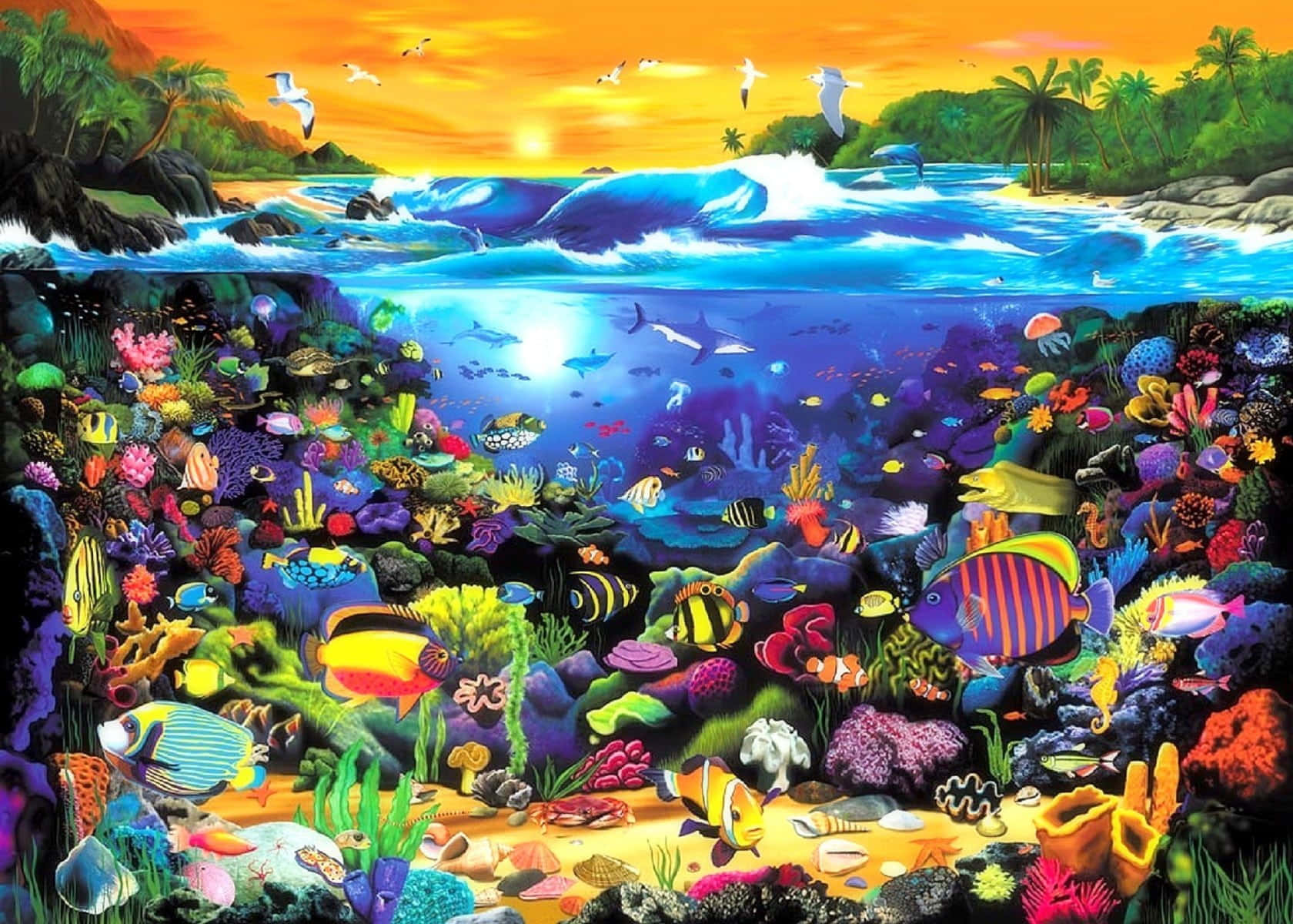 kawaii sea creatures, tropical beach, sunset, HD Desktop Wallpaper