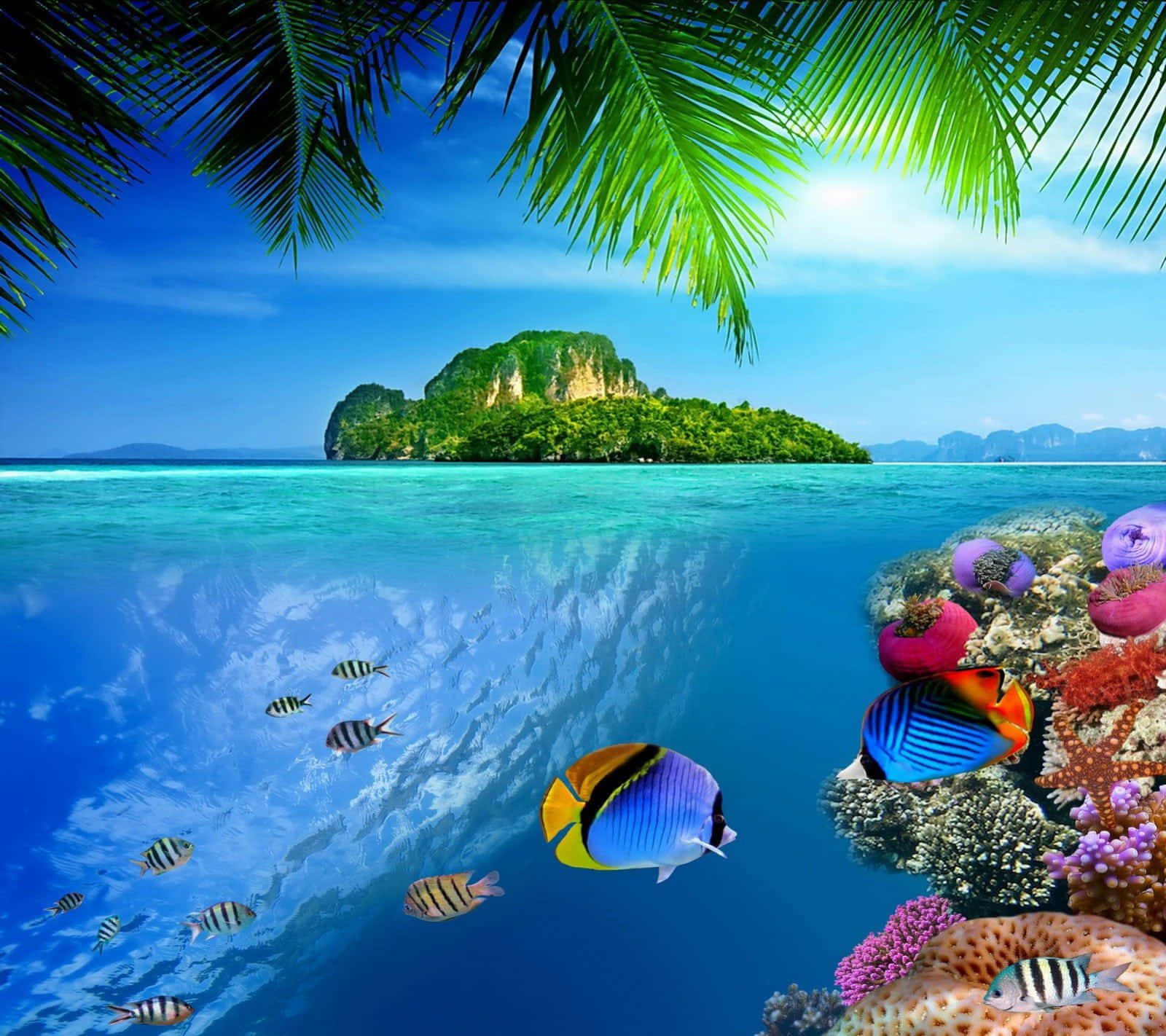 kawaii sea creatures, tropical scene, turquoise ocean, HD Desktop Wallpaper