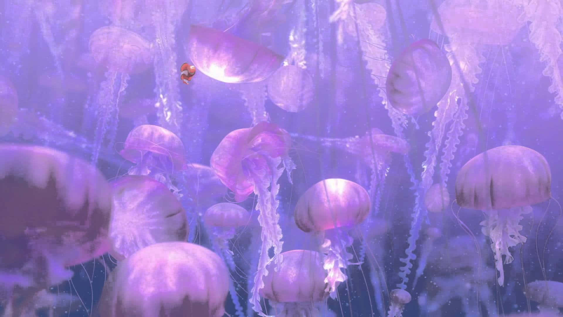 kawaii sea creatures, clownfish, glowing purple jellyfish, Full HD Desktop Wallpaper