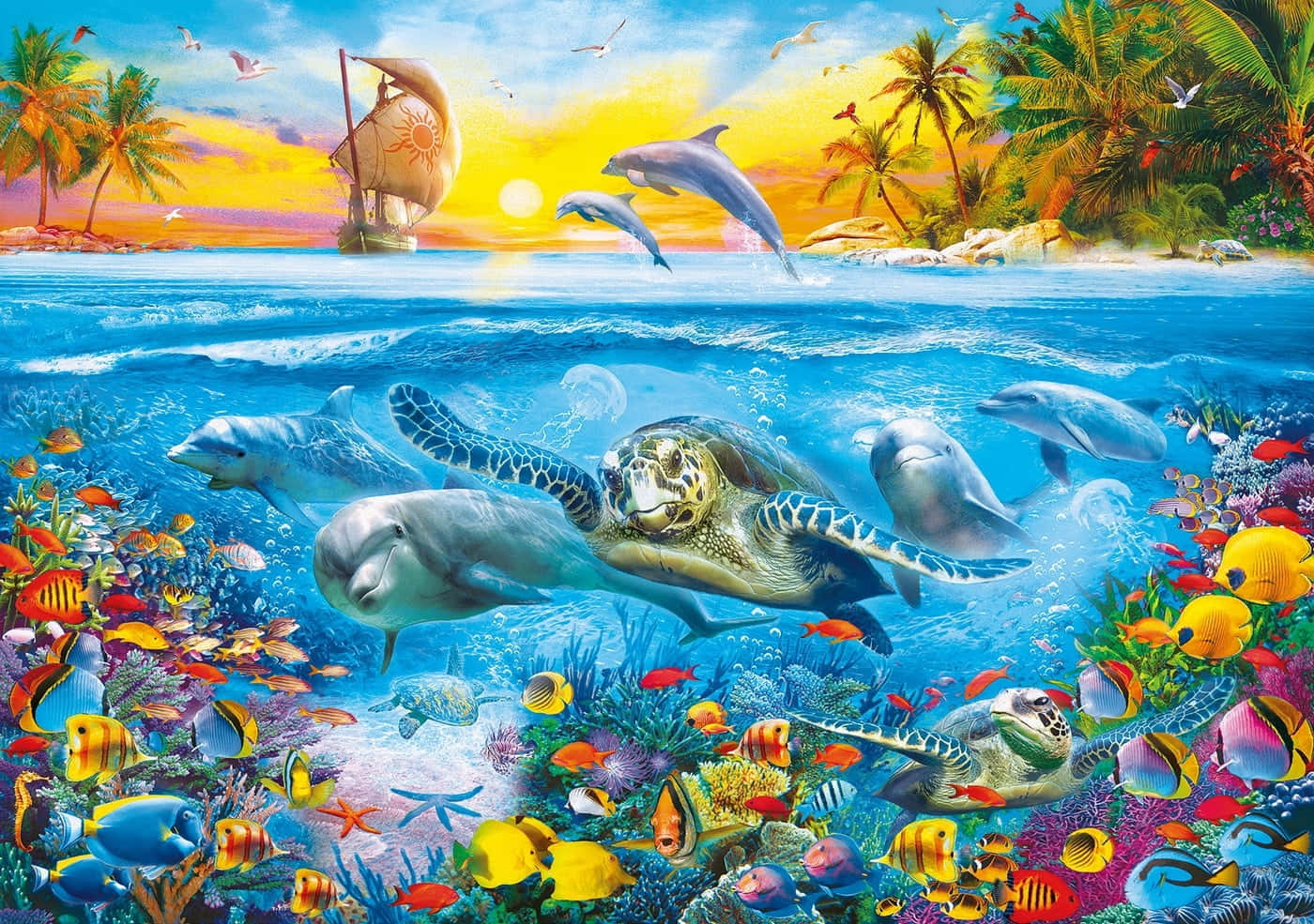 kawaii sea creatures, dolphins, coral reefs, HD Desktop Wallpaper