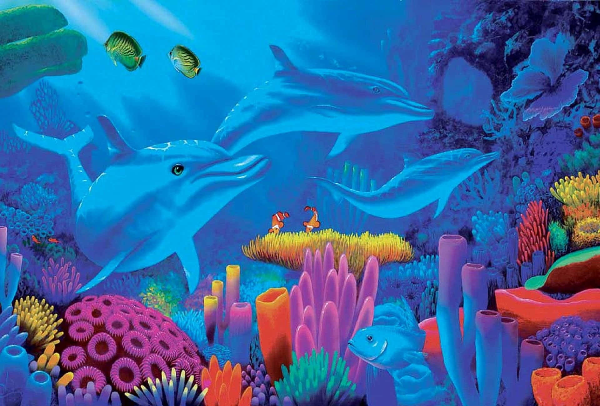 kawaii sea creatures, dolphins, colorful coral reefs, Full HD Desktop Wallpaper