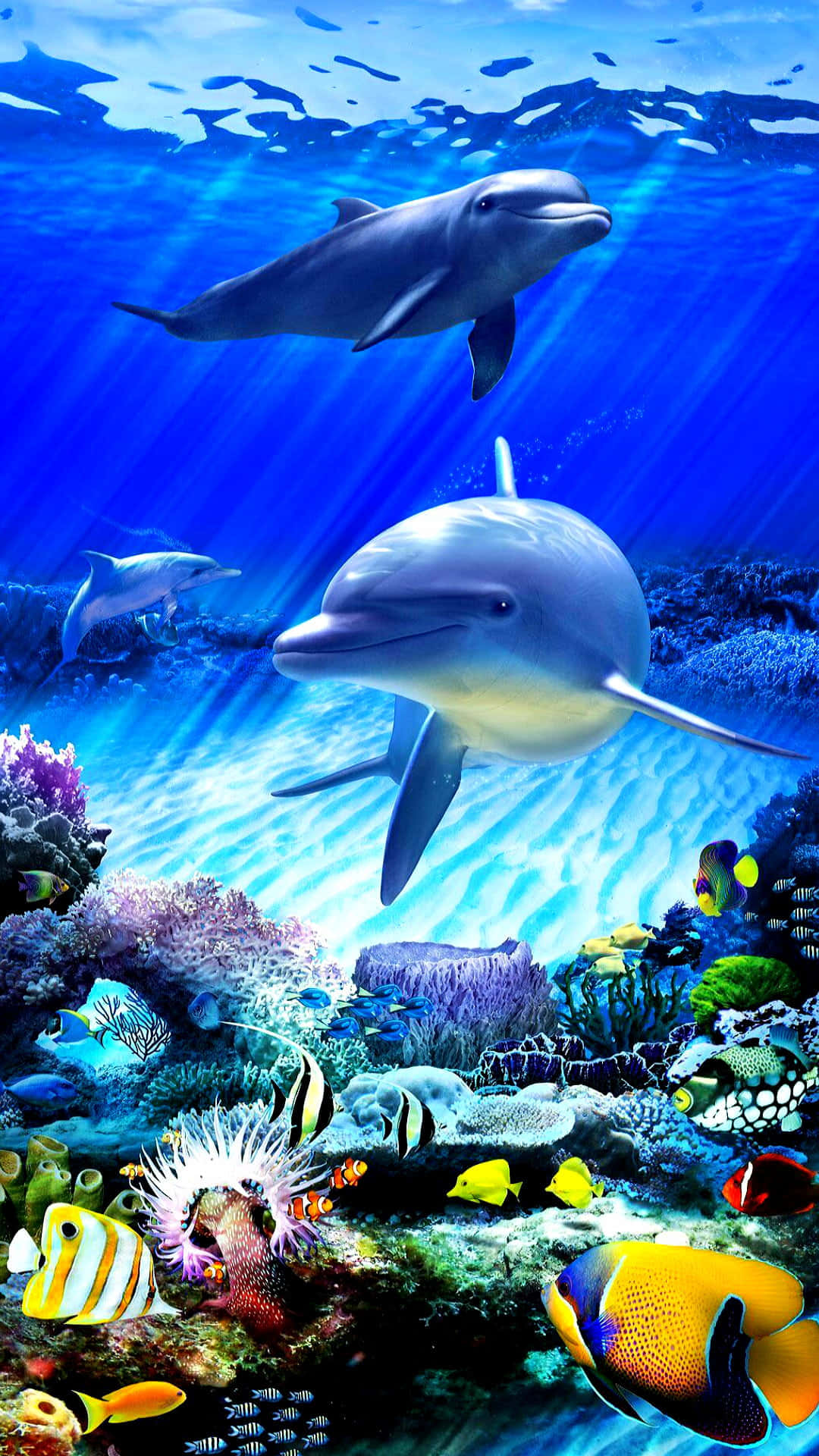 kawaii sea creatures, dolphins, sunlit blue waters, Full HD Phone Wallpaper