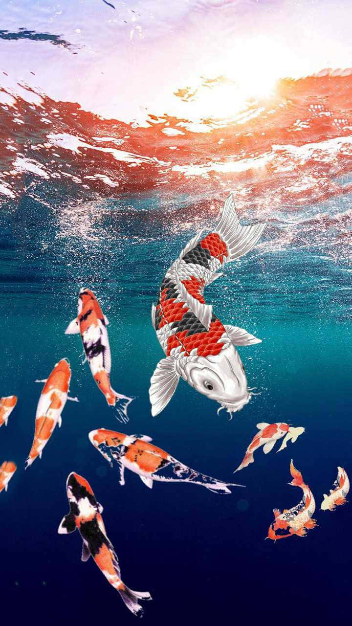 koi fish, underwater, clear blue water, HD Phone Wallpaper