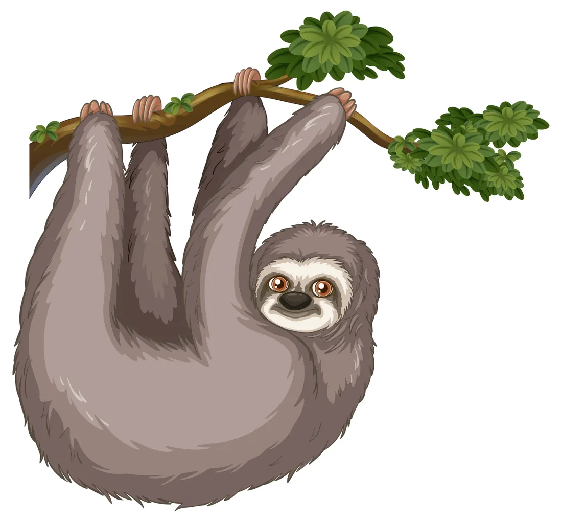 Kawaii Sloth