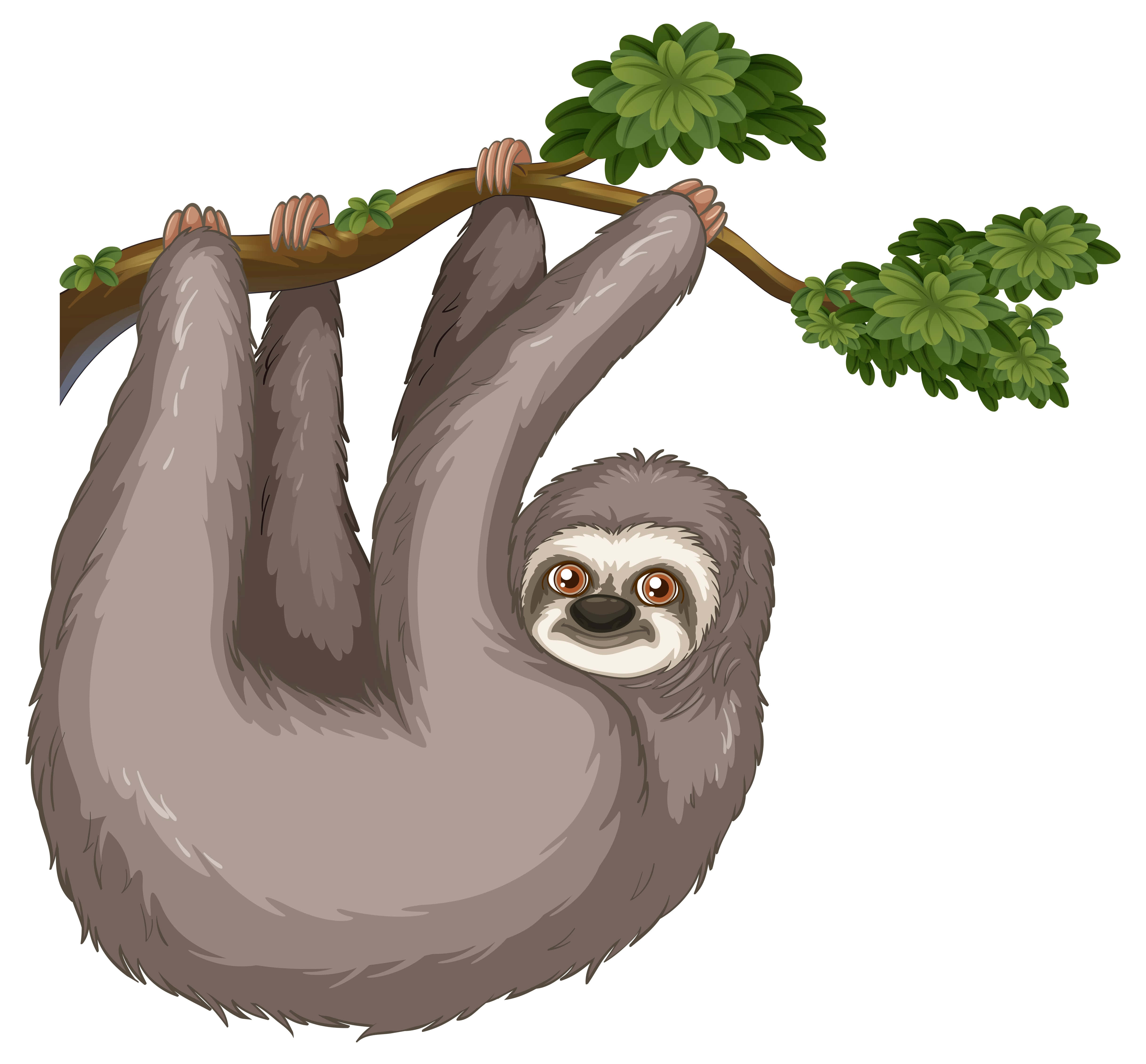 Kawaii Sloth, tree branch, leafy branch, 4K Desktop Wallpaper
