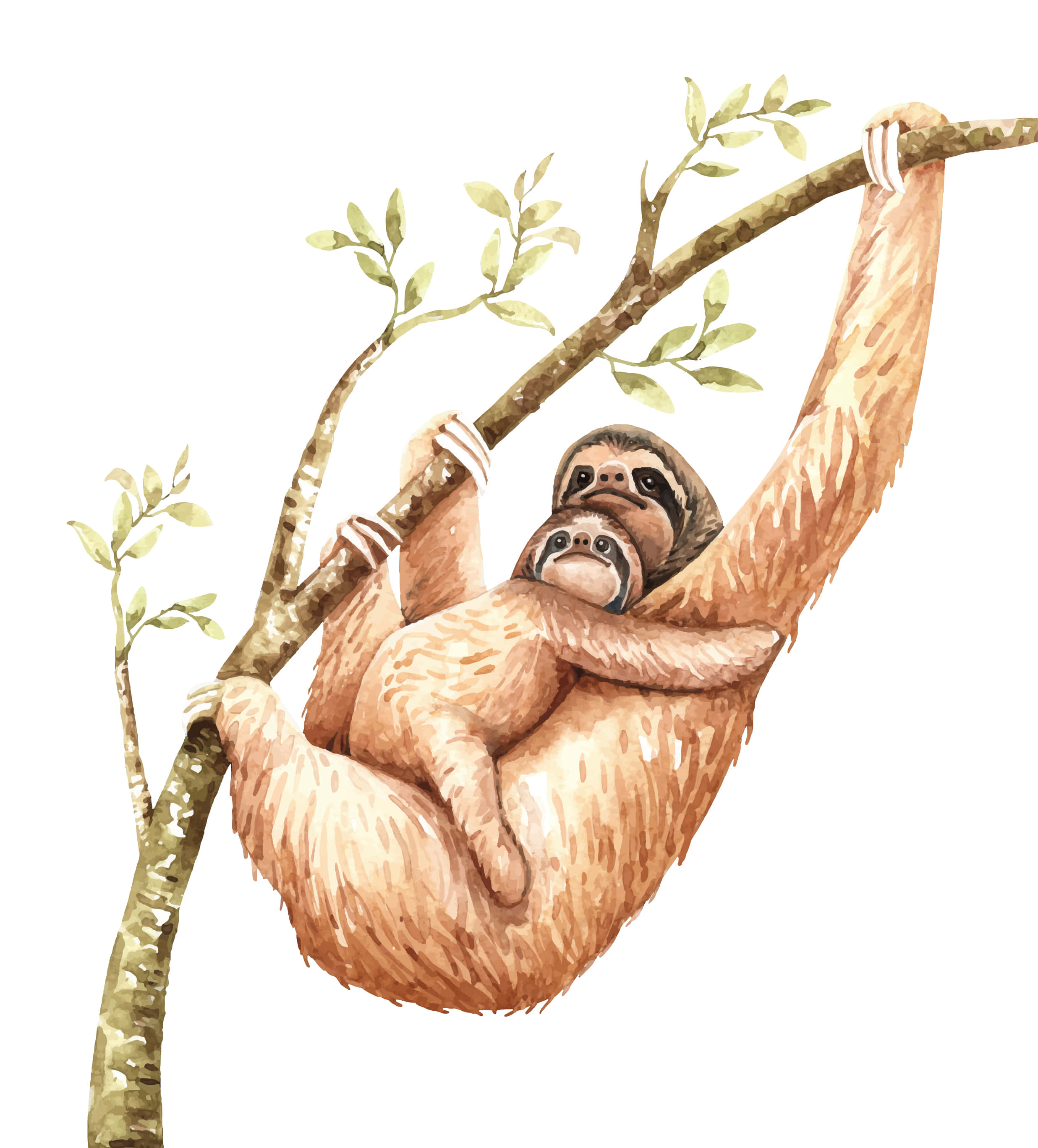 kawaii sloth, mother sloth, baby sloth, 2K Phone Wallpaper