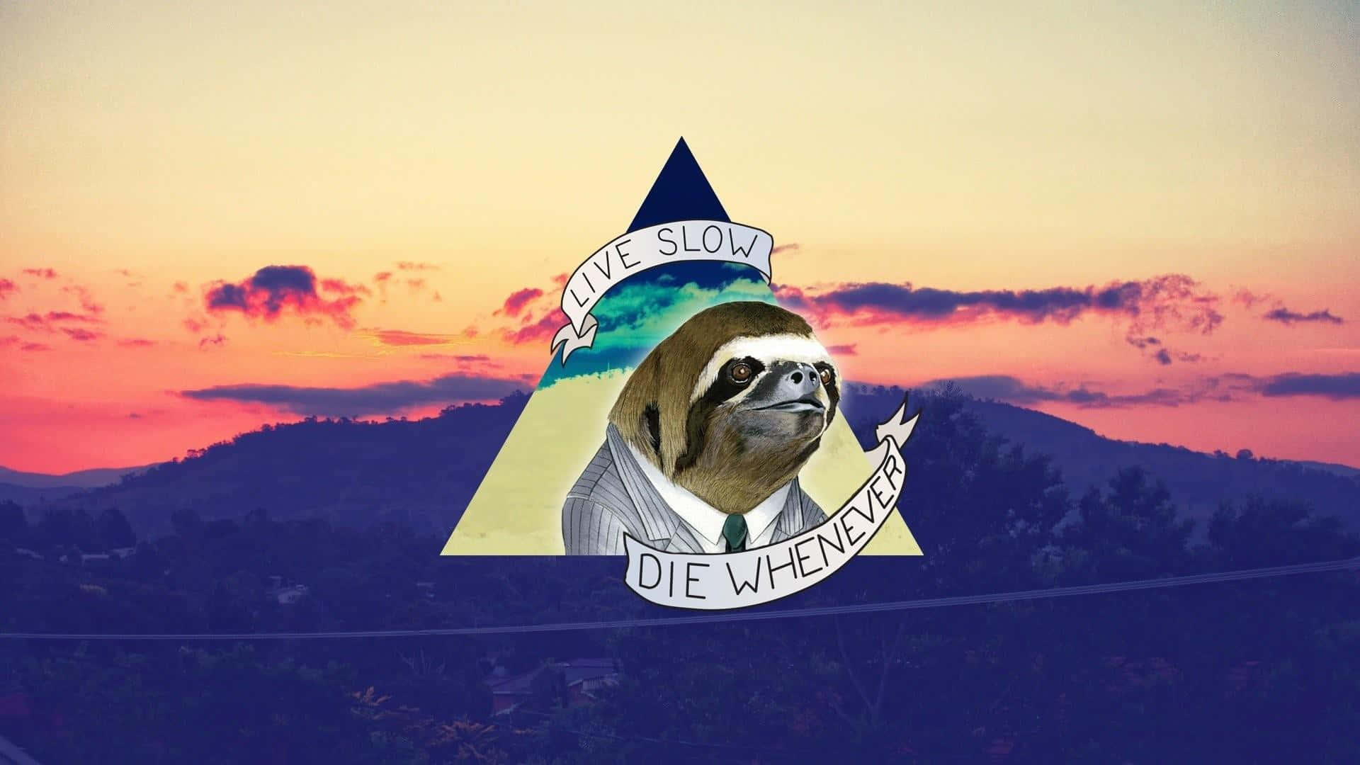 kawaii sloth, suit, triangle, Full HD Desktop Wallpaper