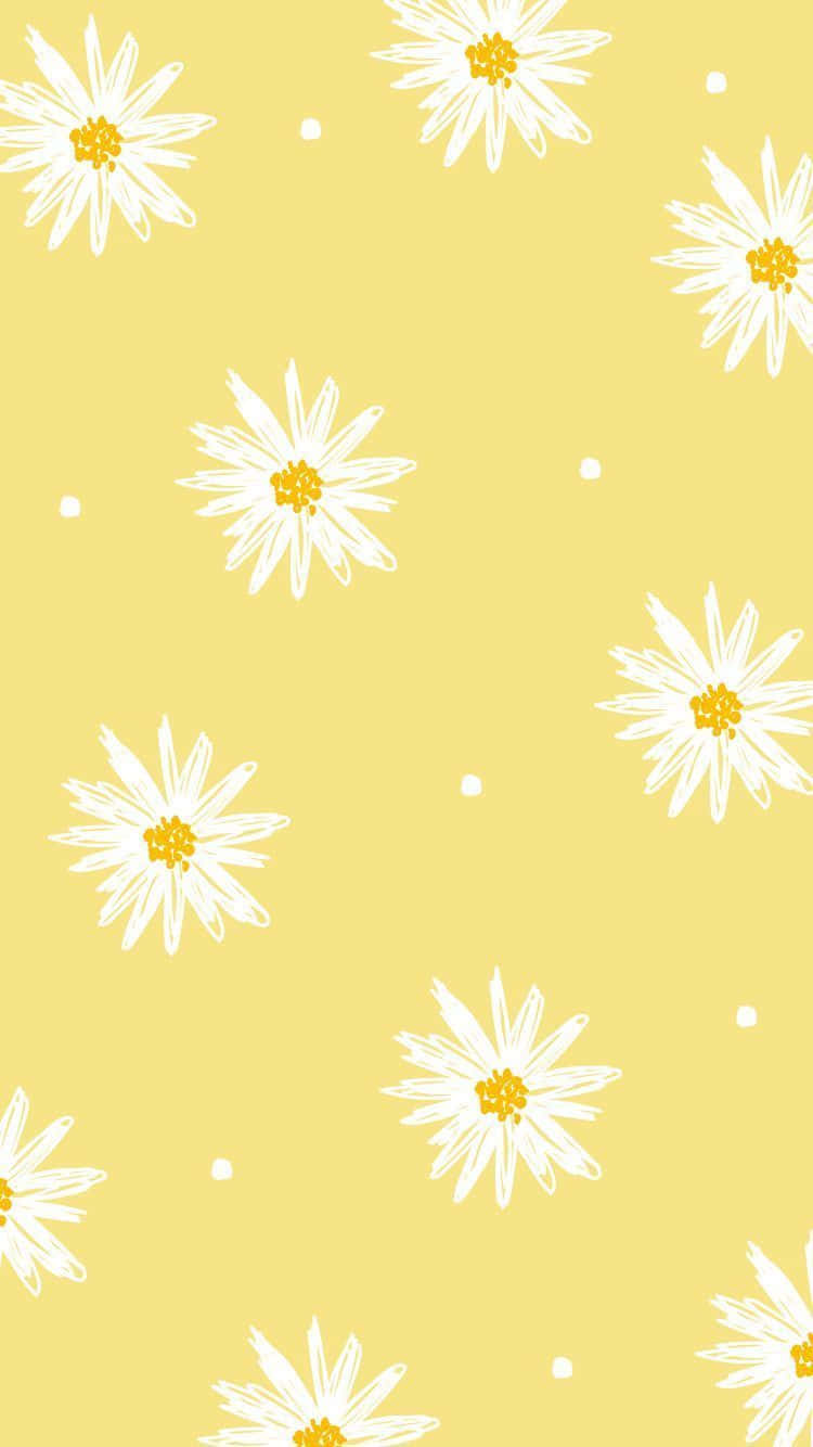 kawaii yellow, white daisies, yellow centers, HD Phone Wallpaper