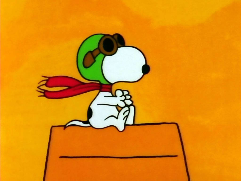 Snoopy, pilot gear, doghouse, SD Desktop Wallpaper