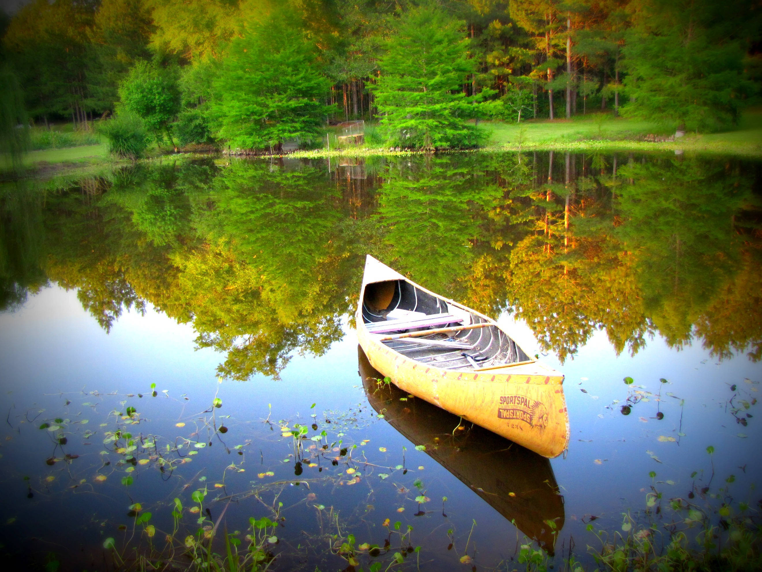 yellow canoe, calm lake, vibrant green forest, 2K Desktop Wallpaper